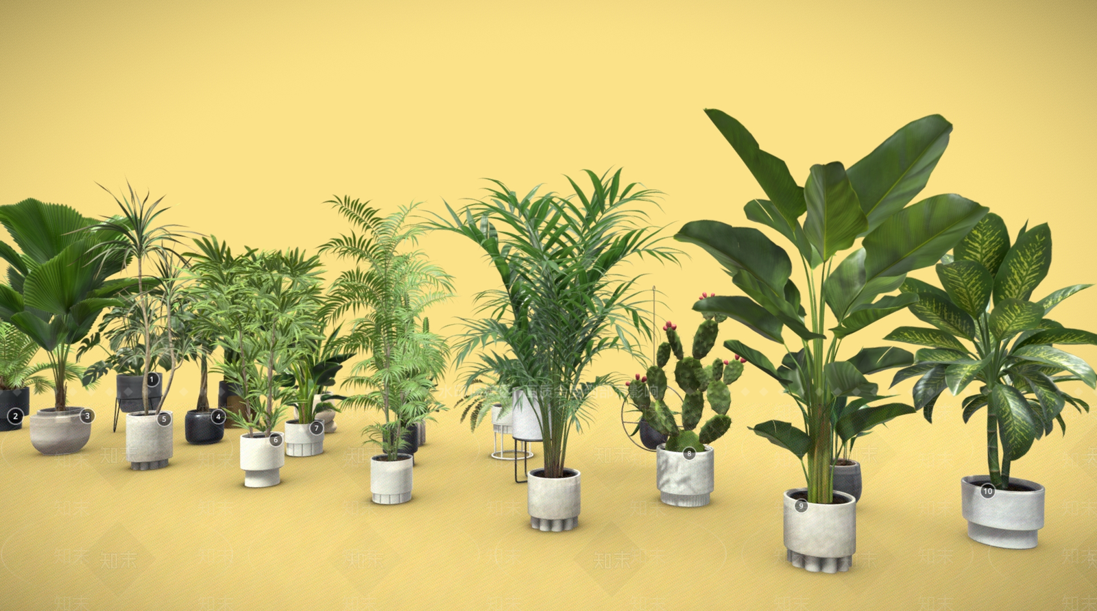 盆栽3D模型下载【ID:1184535151】