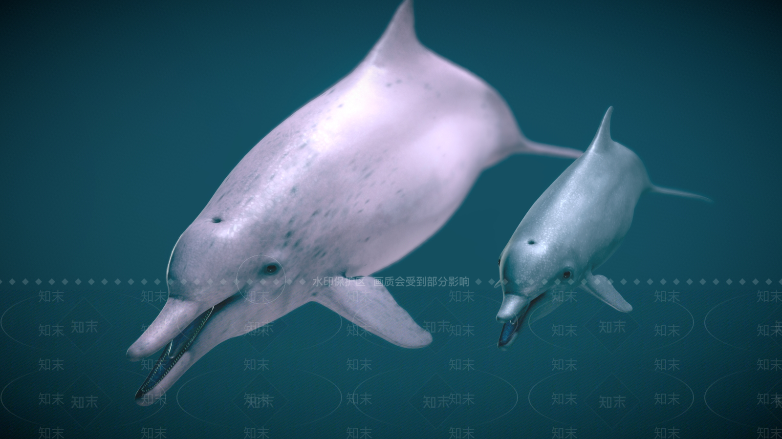 水生类动物3D模型下载【ID:1184541366】