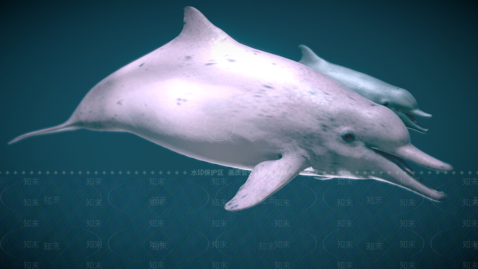 水生类动物3D模型下载【ID:1184541366】