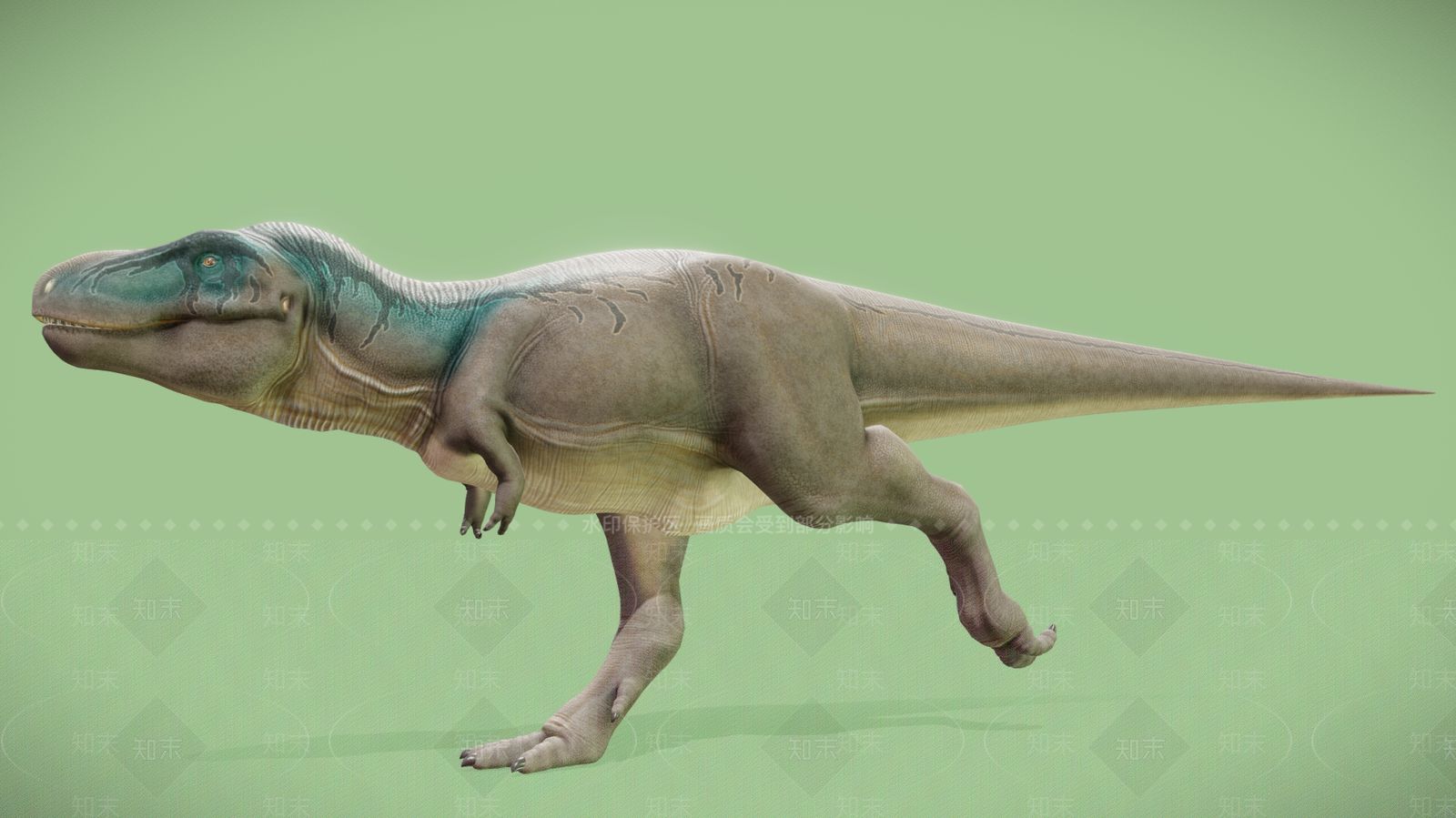 其他动物3D模型下载【ID:1184546887】