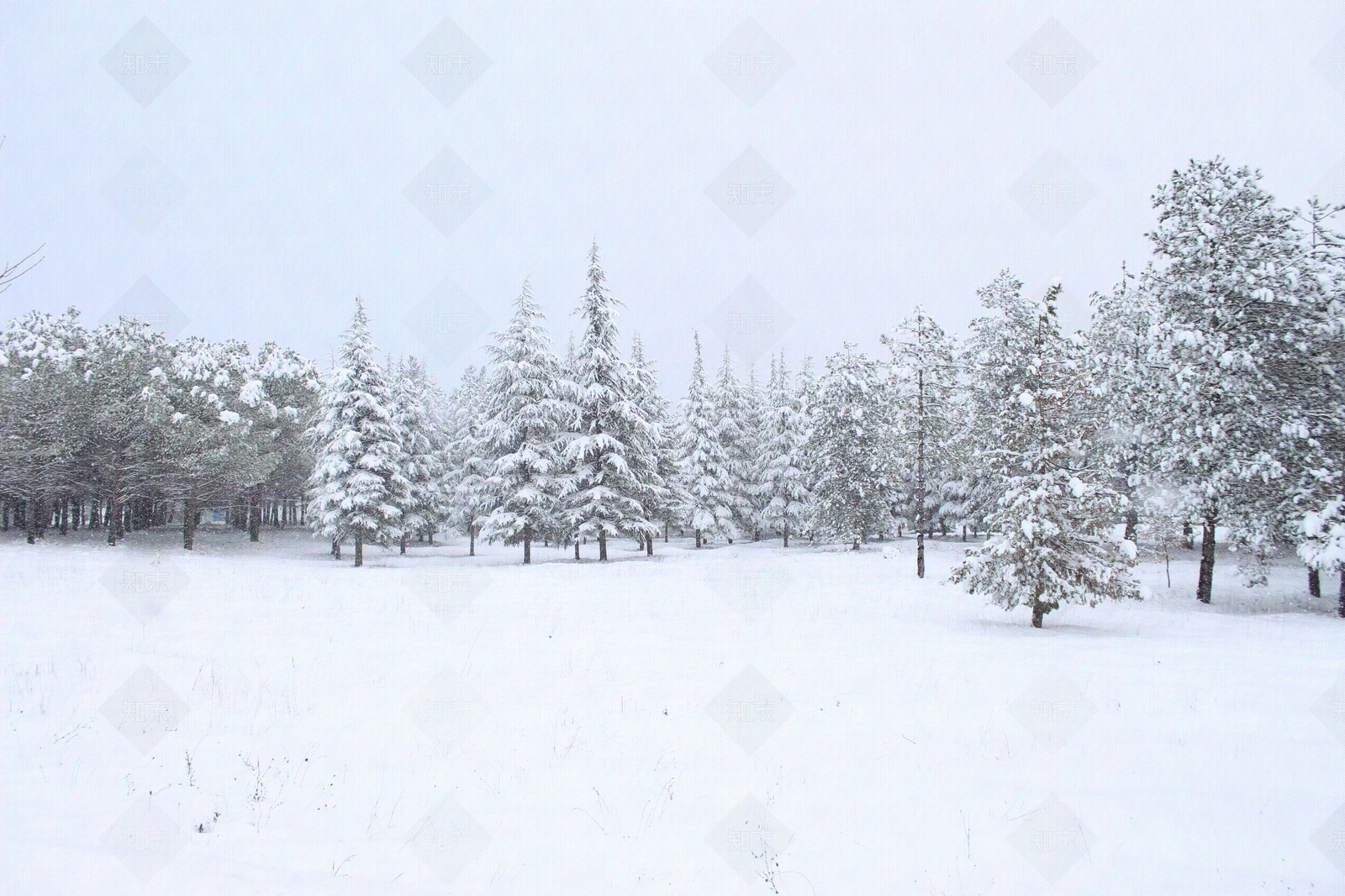 现代其它外景贴图下载【ID:1184573701】