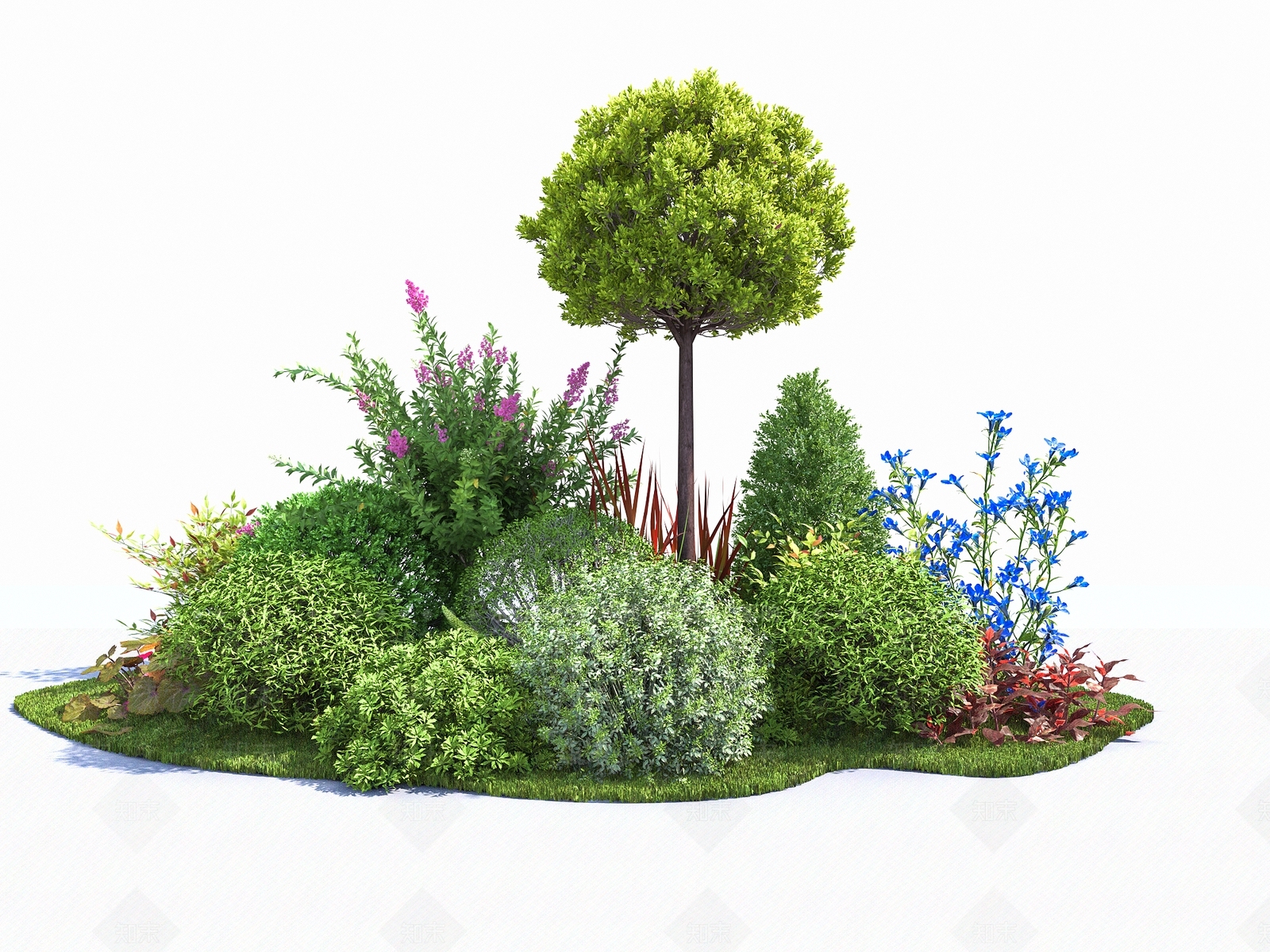 植物组合SU模型下载【ID:1184586297】
