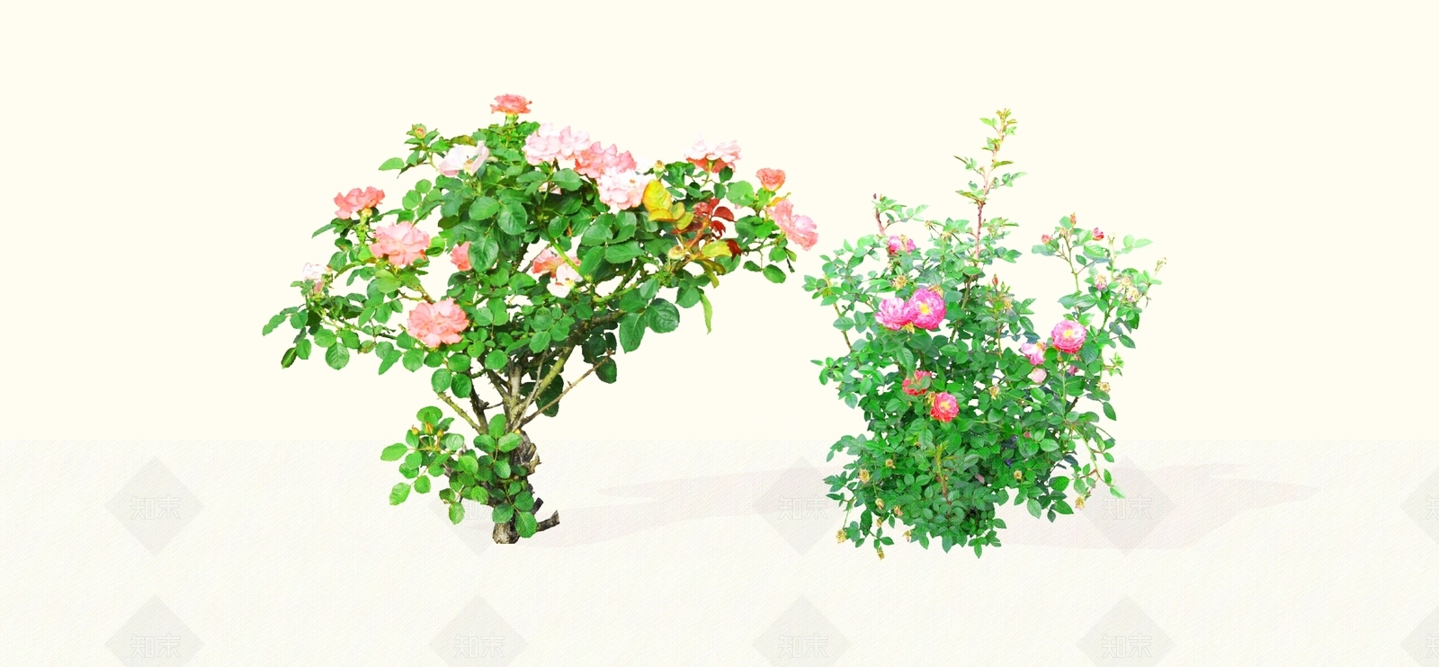 灌木SU模型下载【ID:1184603038】