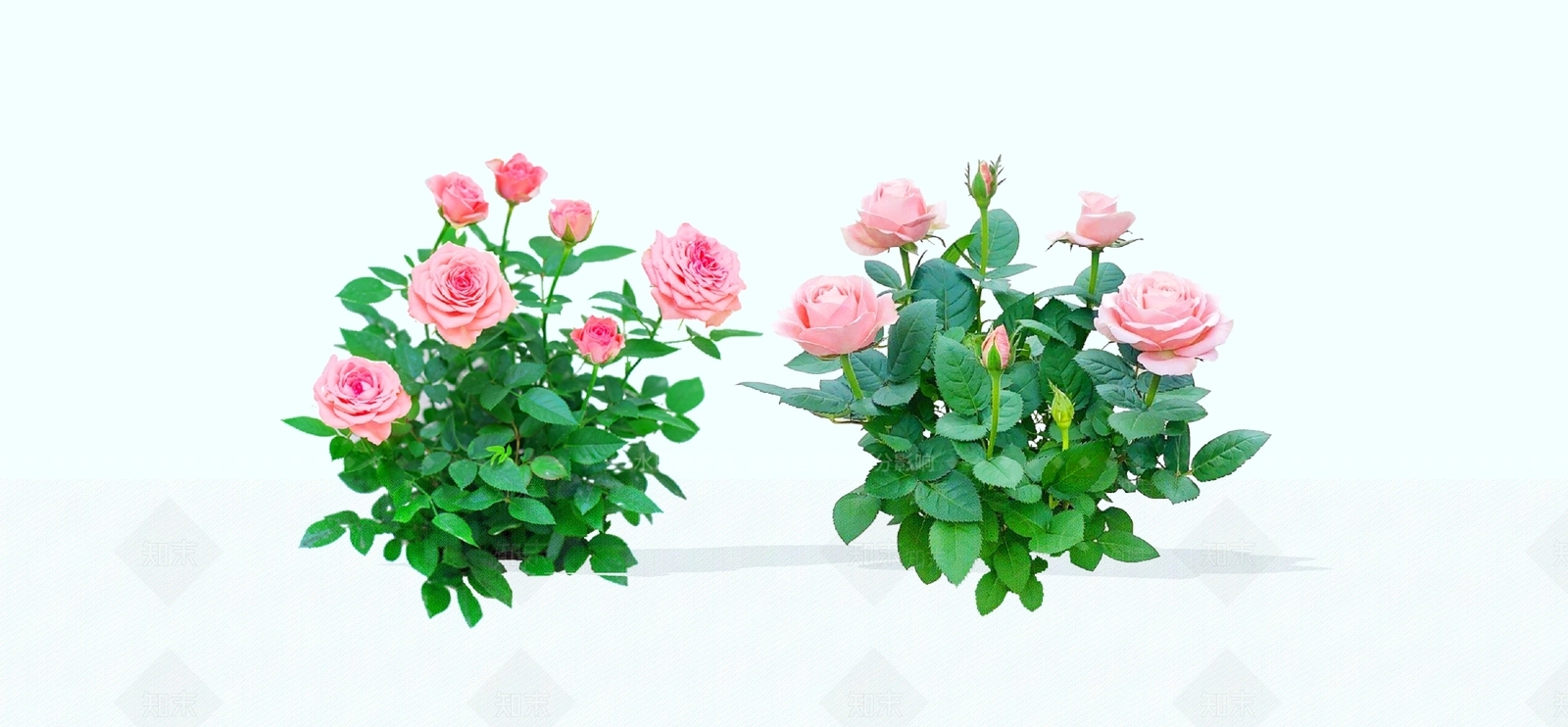 灌木SU模型下载【ID:1184603102】