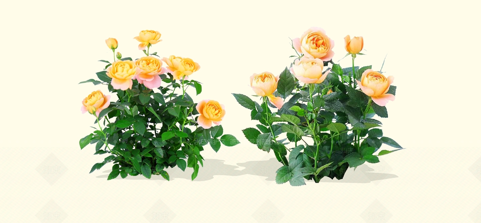 灌木SU模型下载【ID:1184603242】