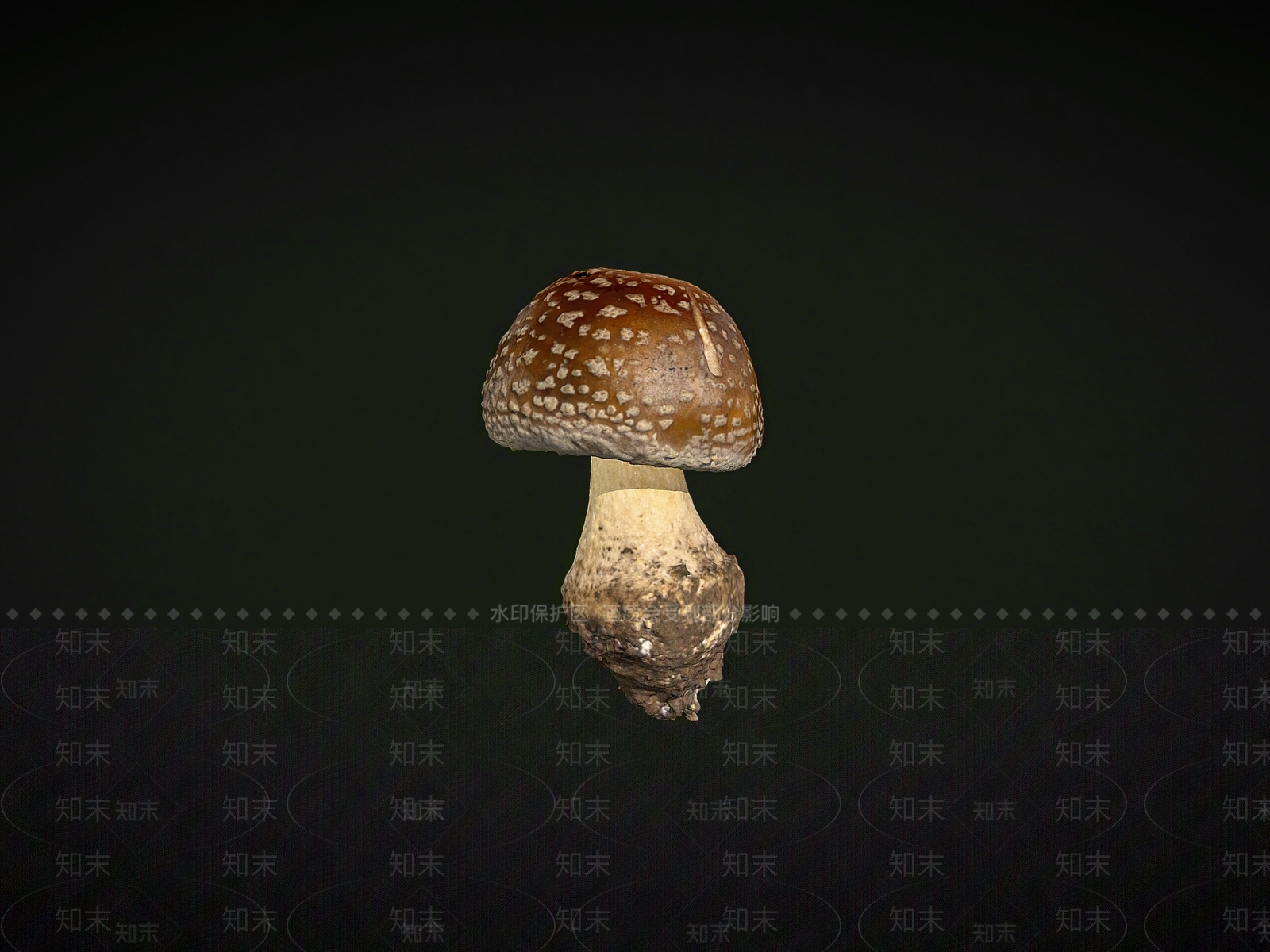 水果蔬菜SU模型下载【ID:1184608245】