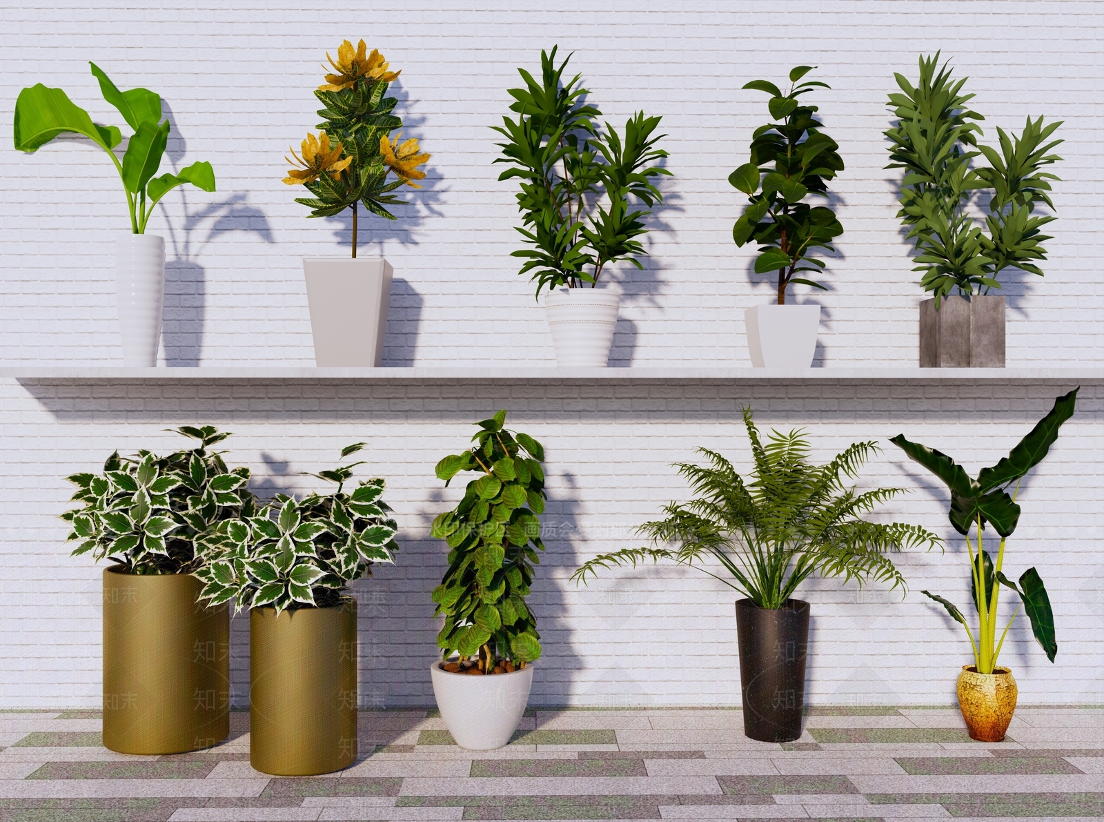盆栽SU模型下载【ID:1184630209】