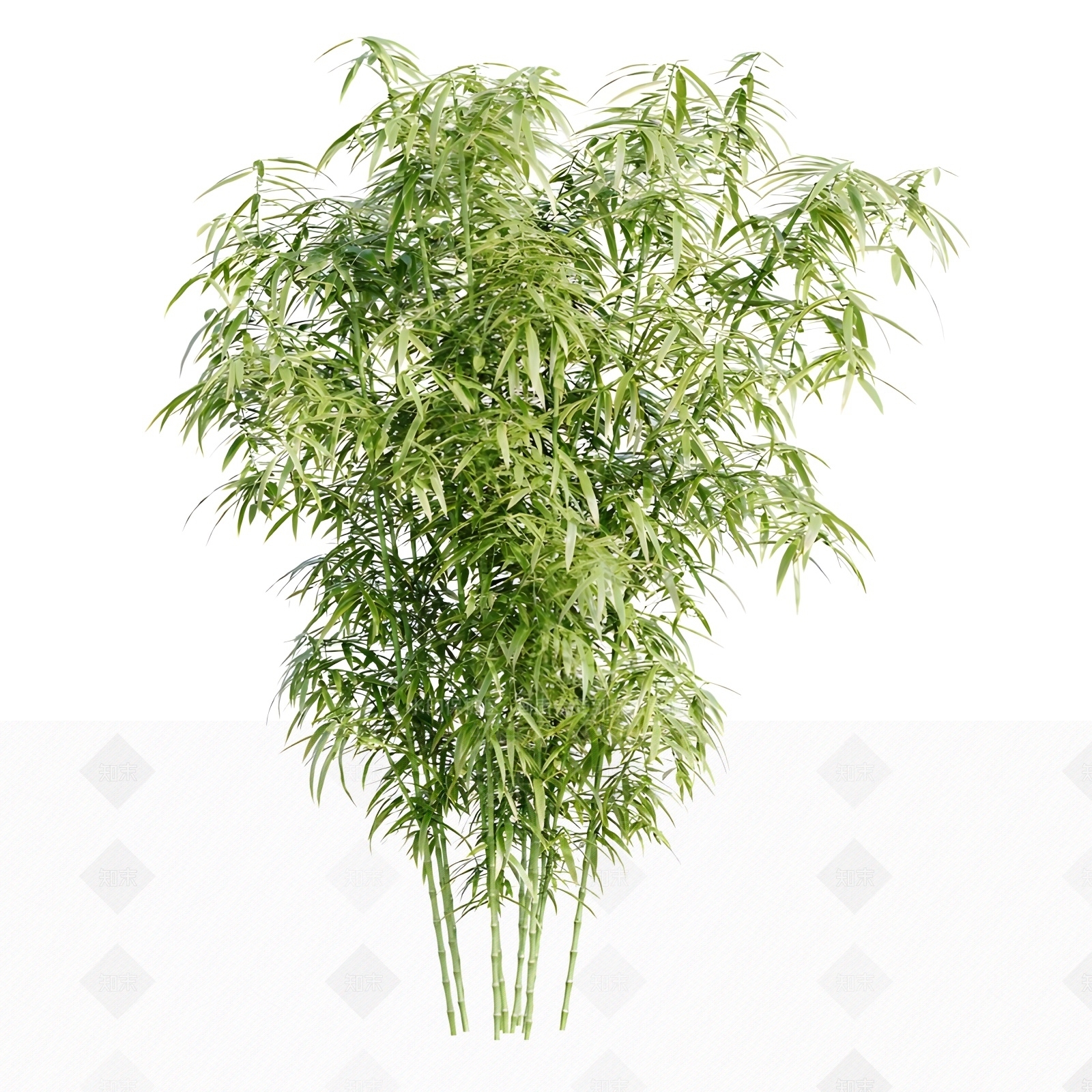 竹子3D模型下载【ID:1184660594】