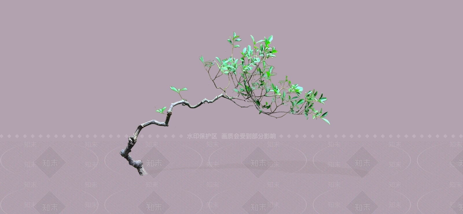 花草SU模型下载【ID:1184687535】