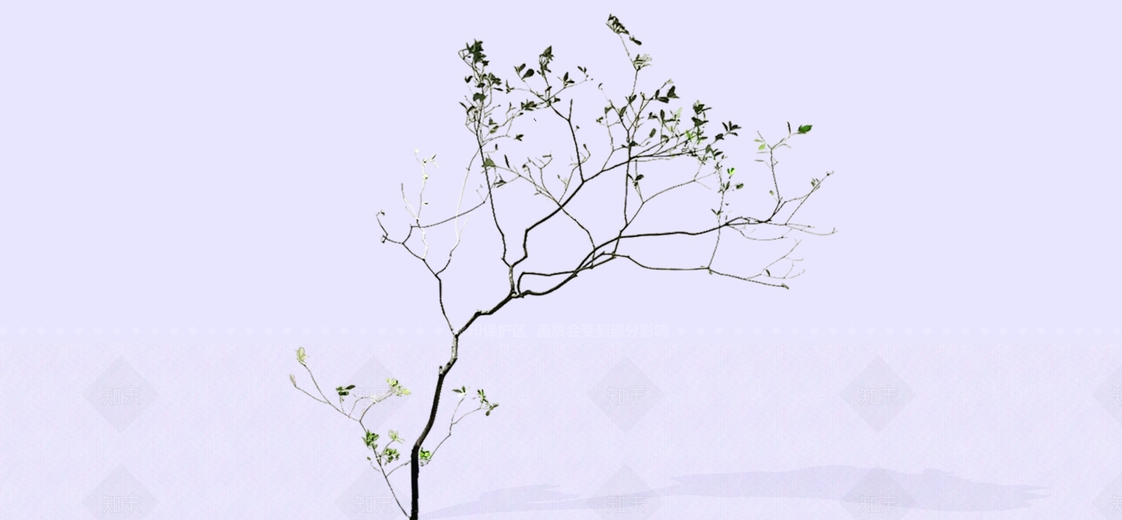 花艺SU模型草图