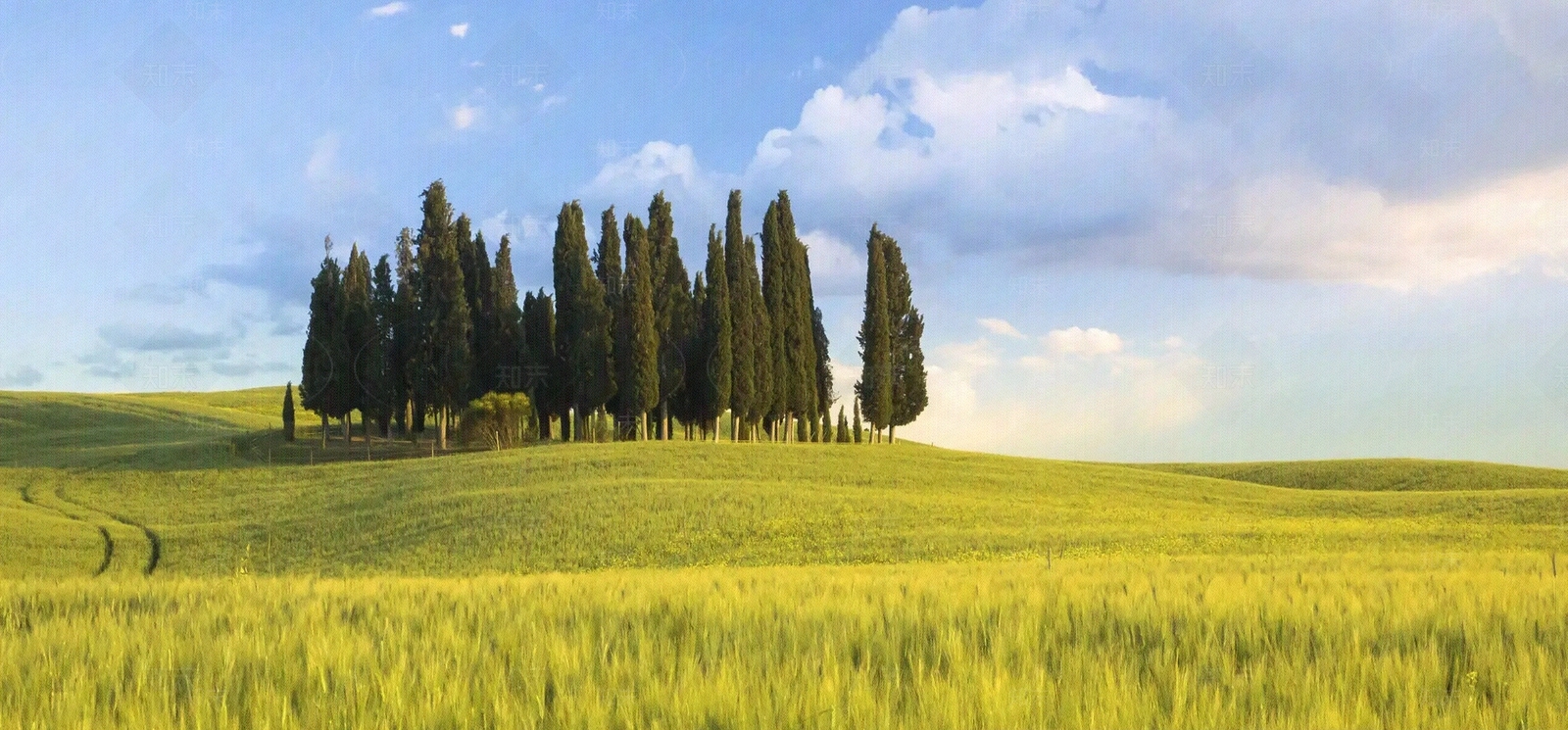 现代屏幕贴图下载【ID:1184691593】