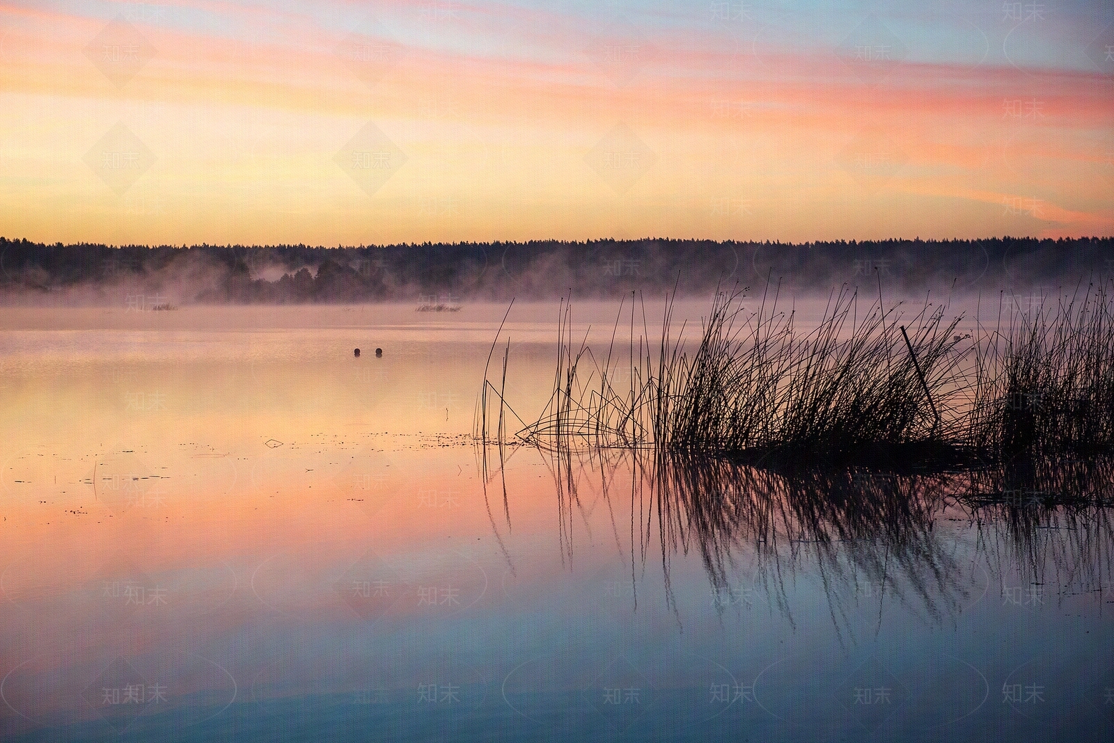 现代风景贴图下载【ID:1184696781】