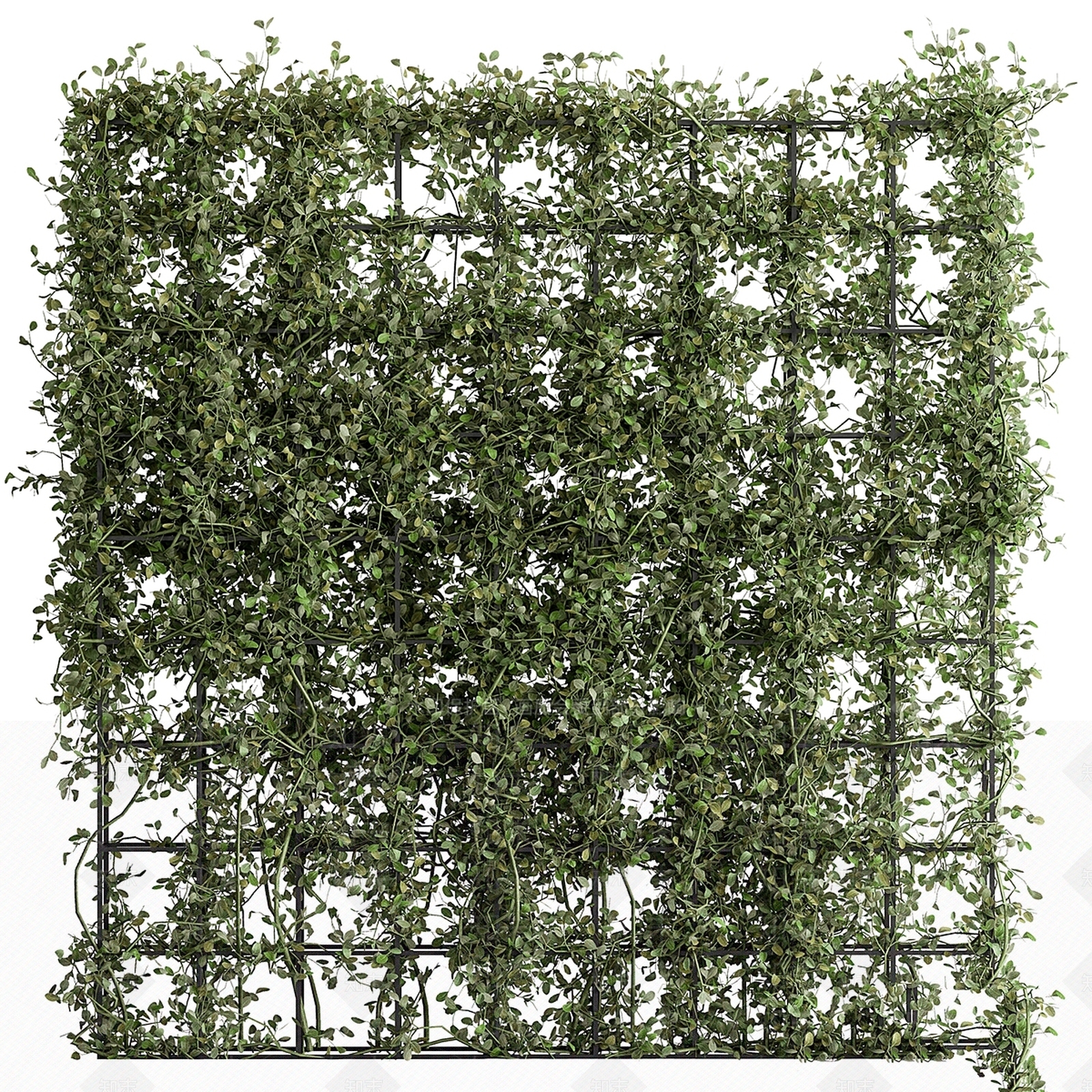 绿植墙3D模型下载【ID:1184751535】