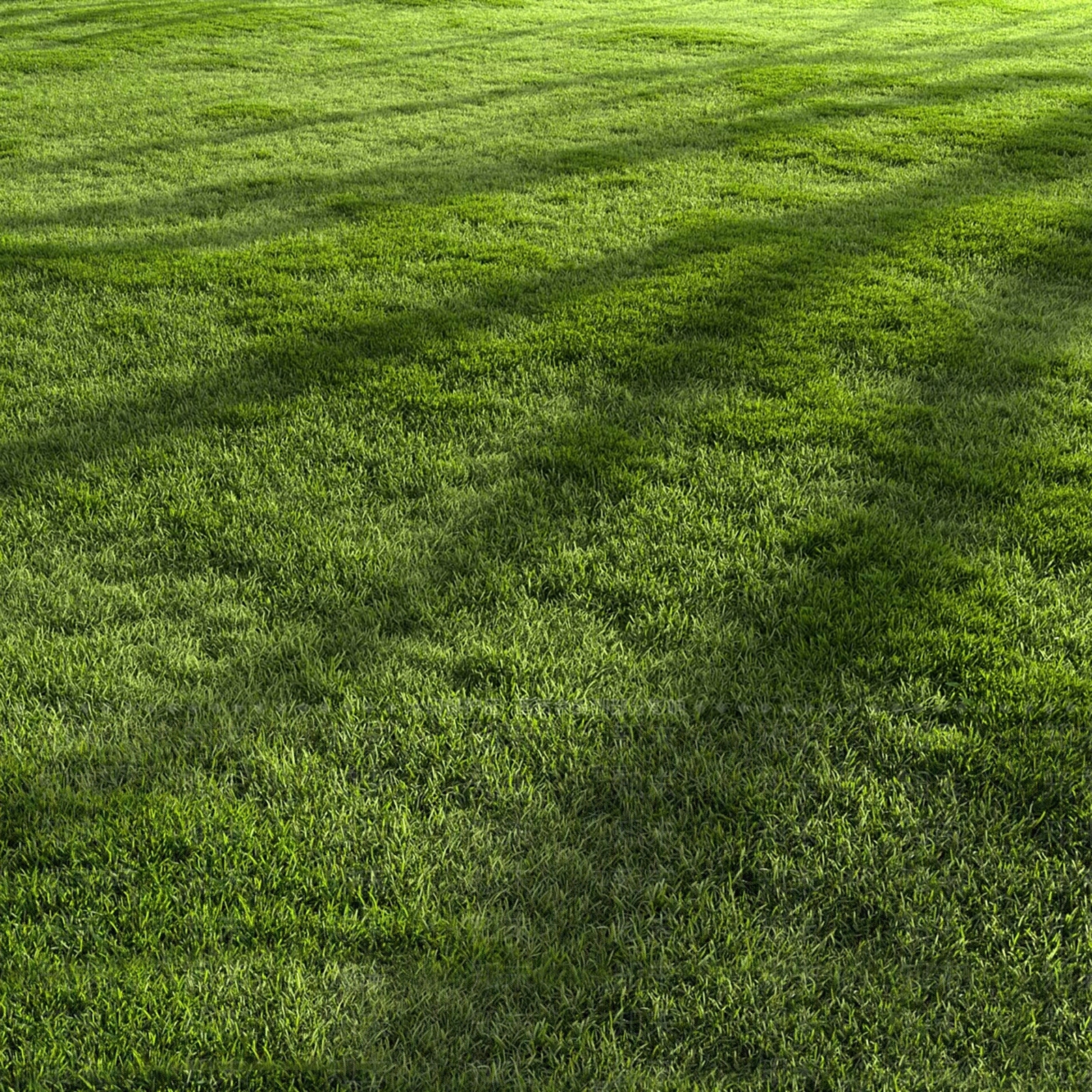 现代草地3D模型下载【ID:1184800960】