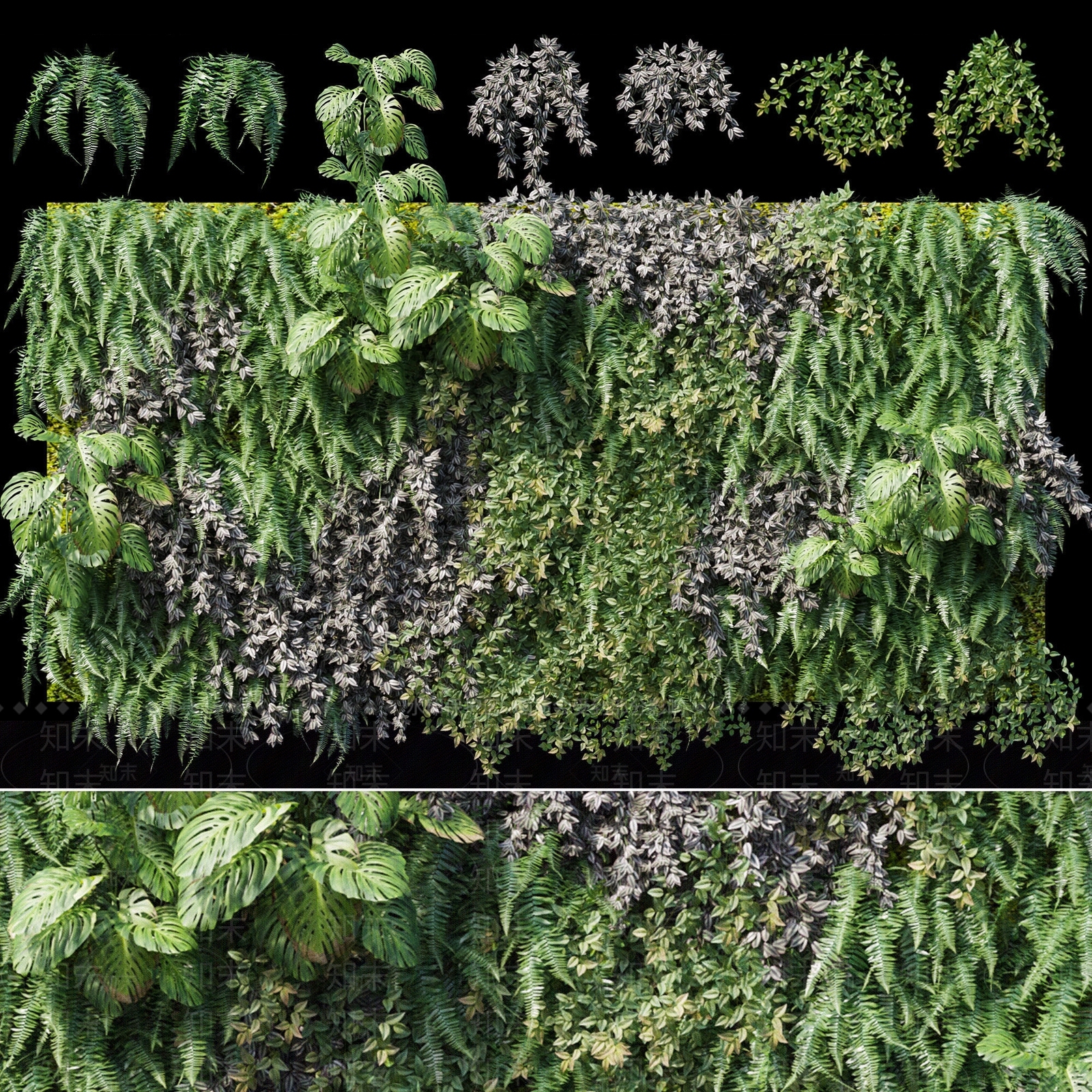 现代绿植植物墙3D模型下载【ID:1184804038】