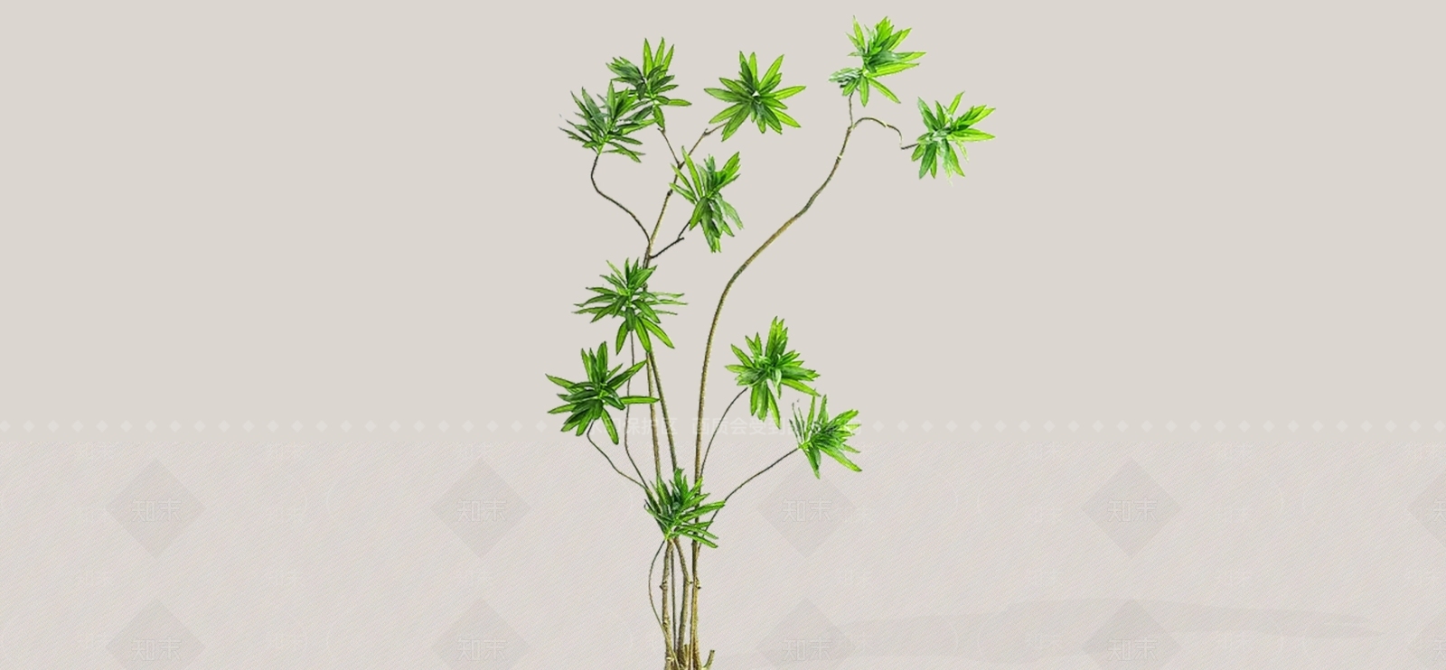 灌木SU模型下载【ID:1184807271】