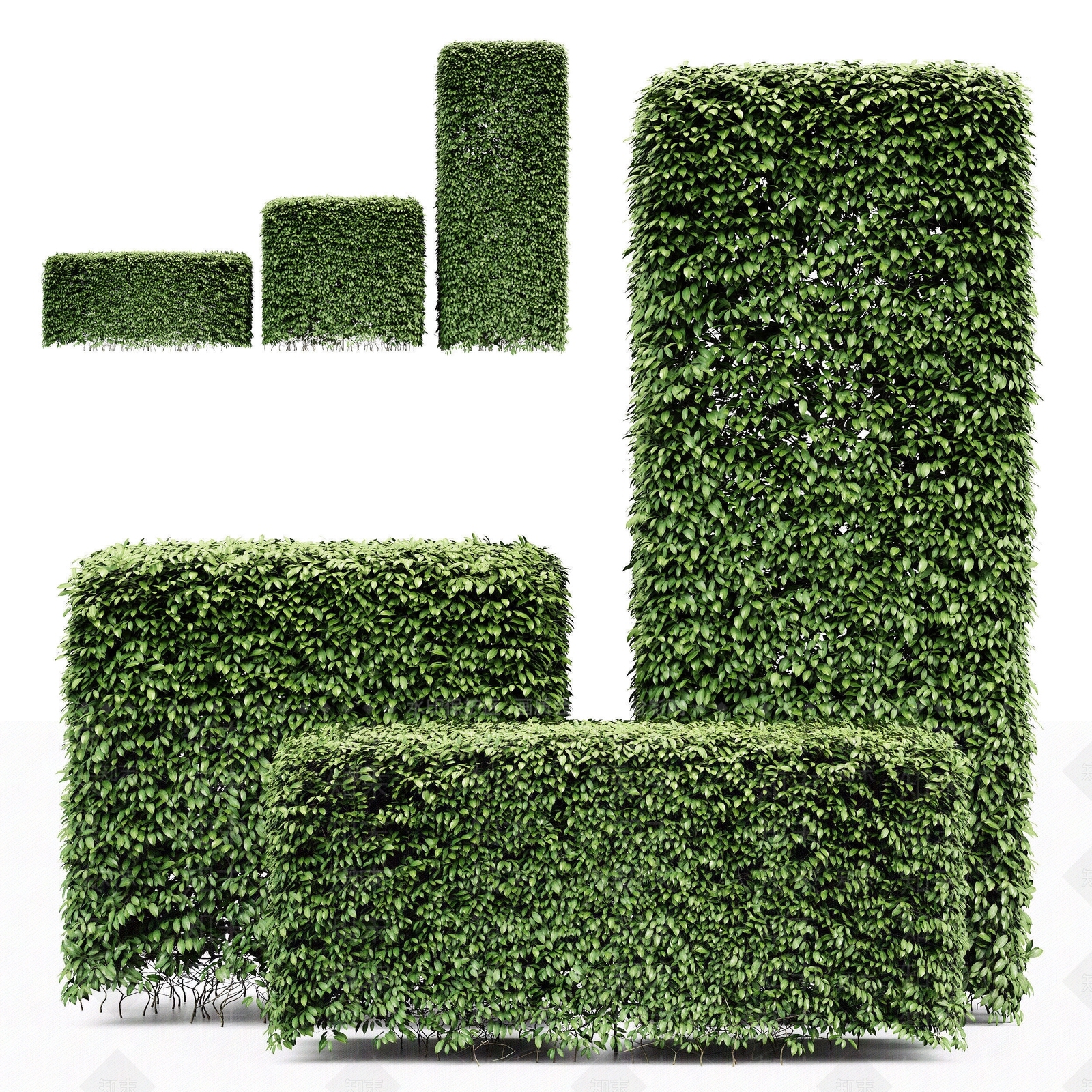 现代灌木3D模型下载【ID:1184904012】