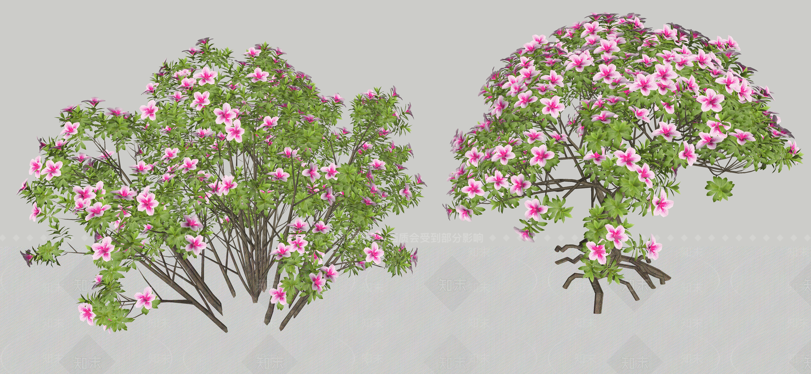 花草SU模型下载【ID:1184909882】
