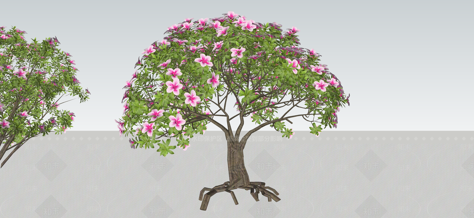 花草SU模型下载【ID:1184909882】