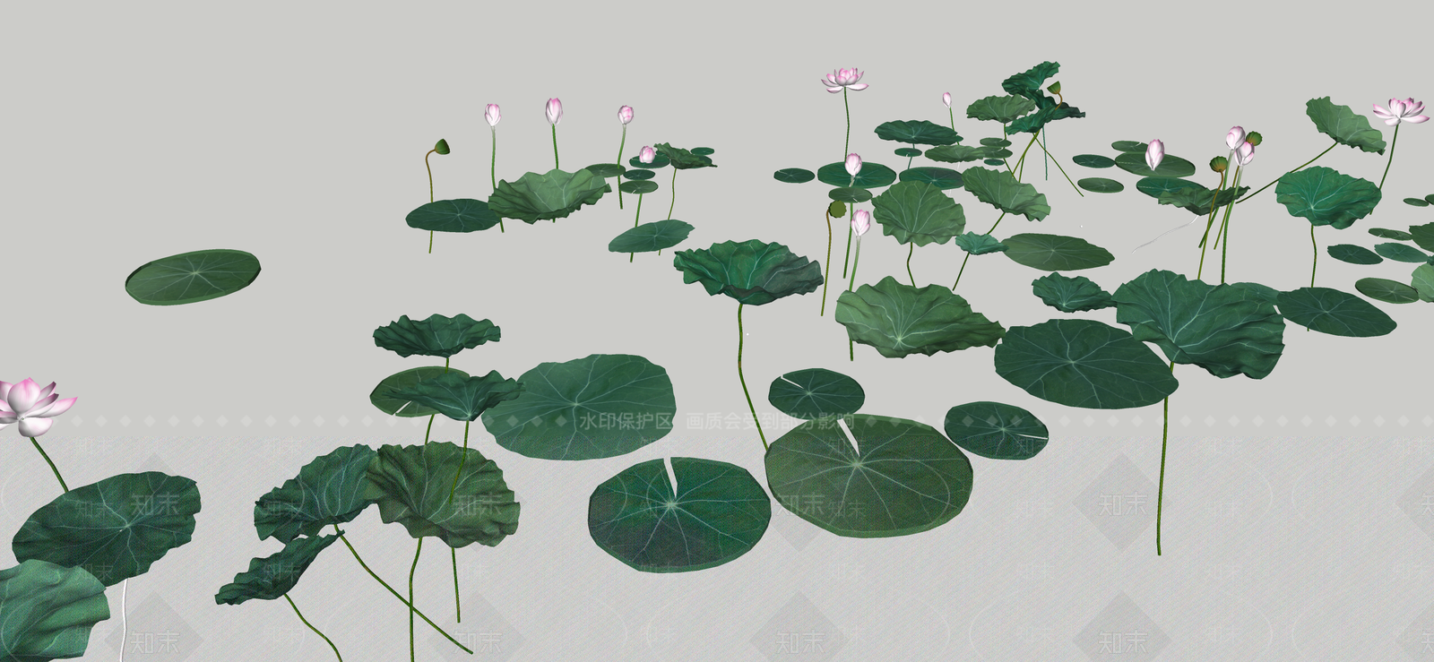 水生植物SU模型下载【ID:1184910265】