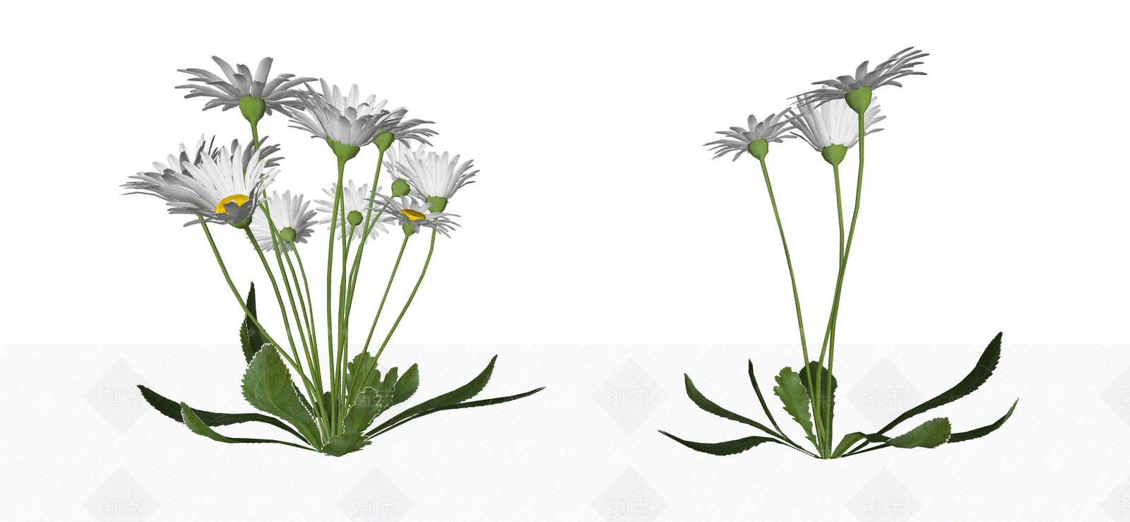 花草SU模型下载【ID:1184910456】
