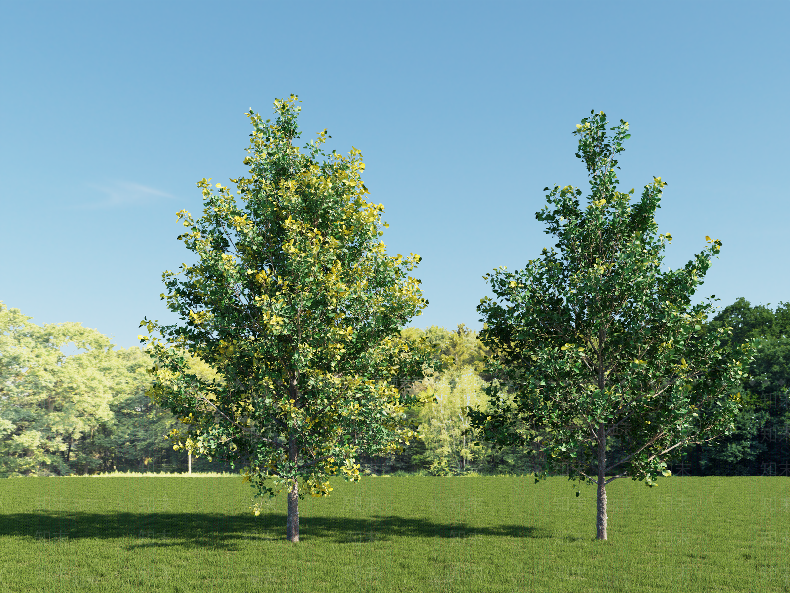 乔木3D模型下载【ID:1184972036】