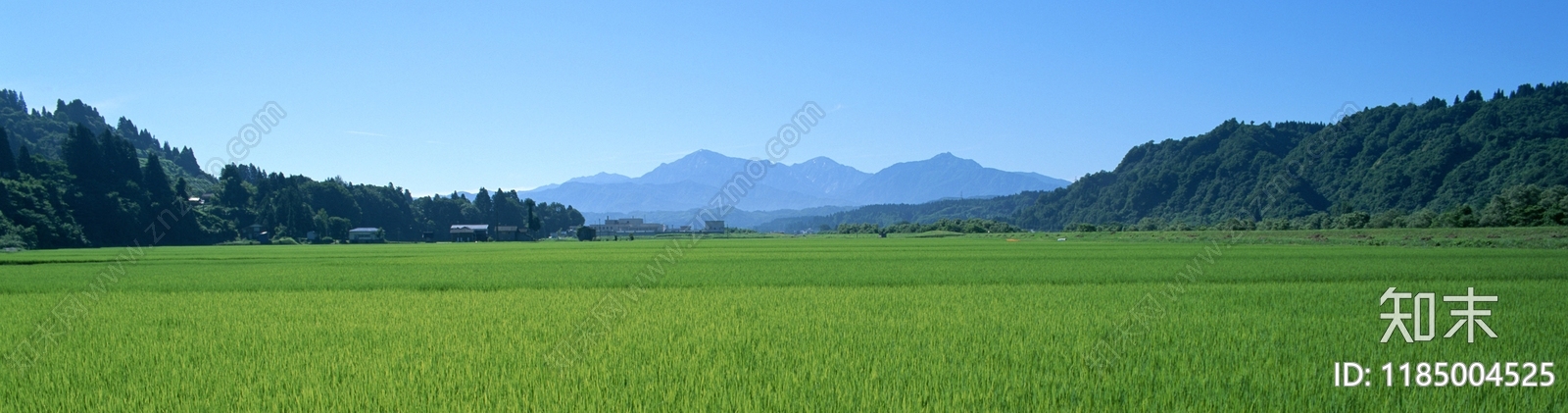 现代风景贴图下载【ID:1185004525】