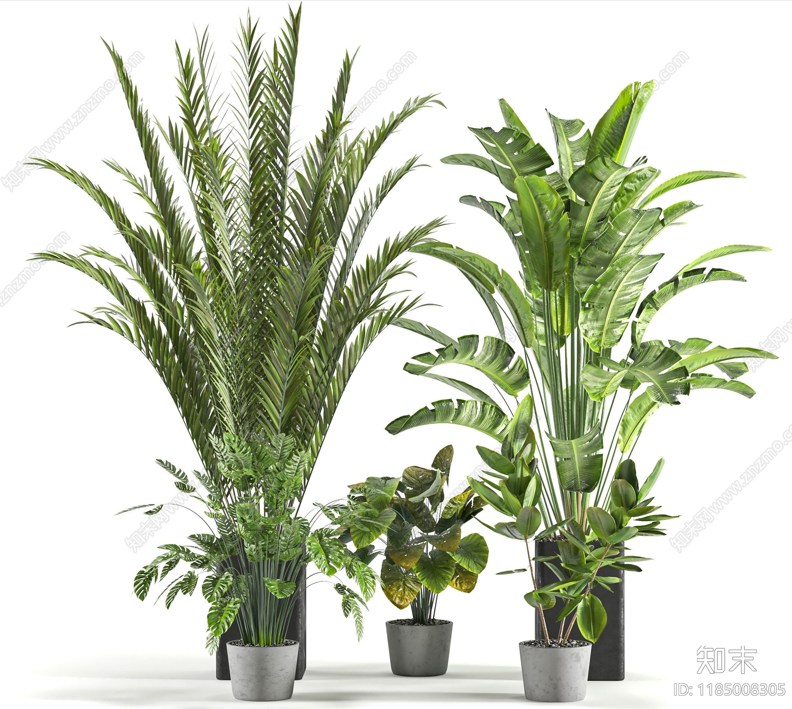 现代室内植物盆栽3D模型下载【ID:1185008305】