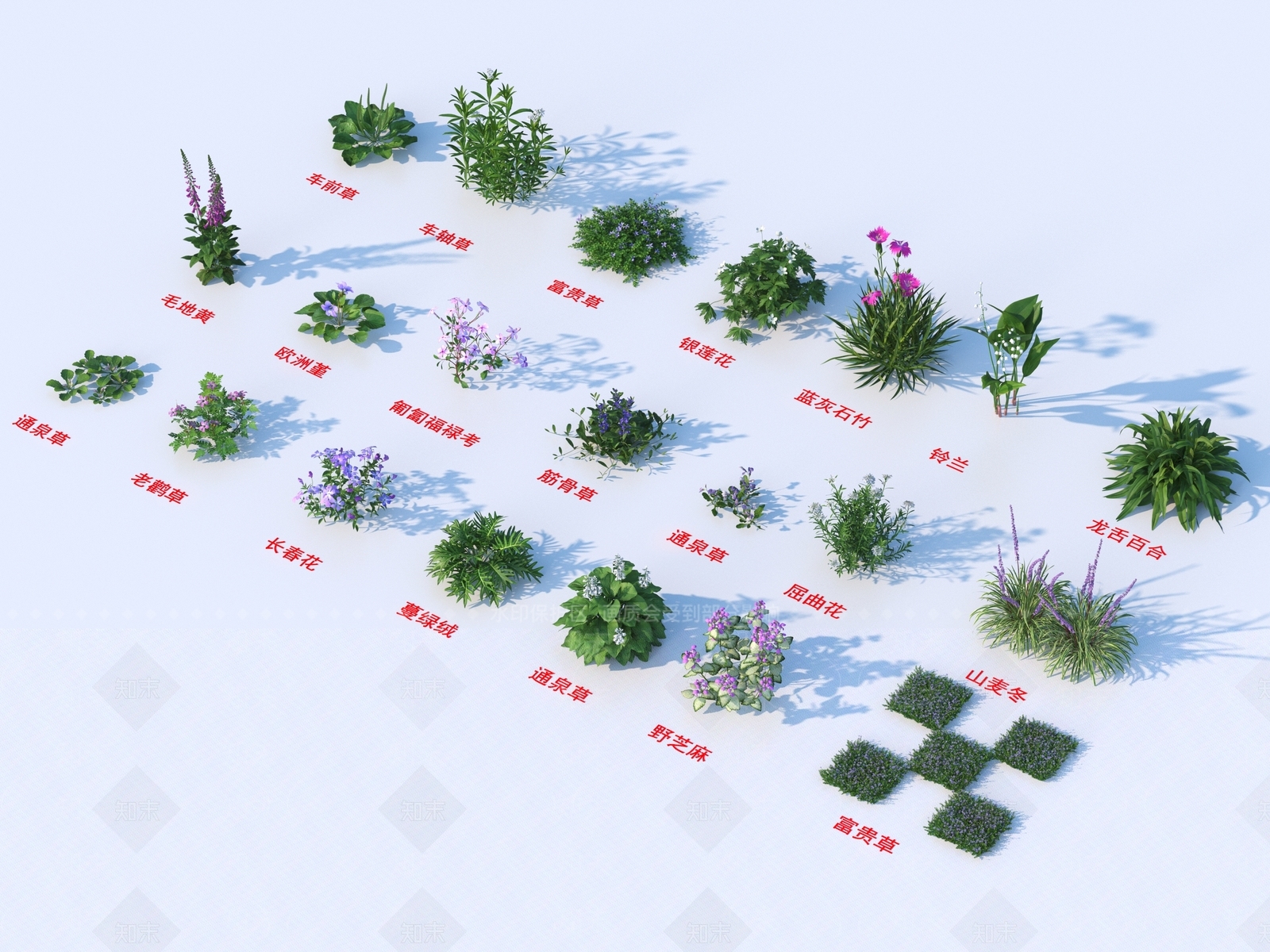 花草组合3D模型下载【ID:1185033232】