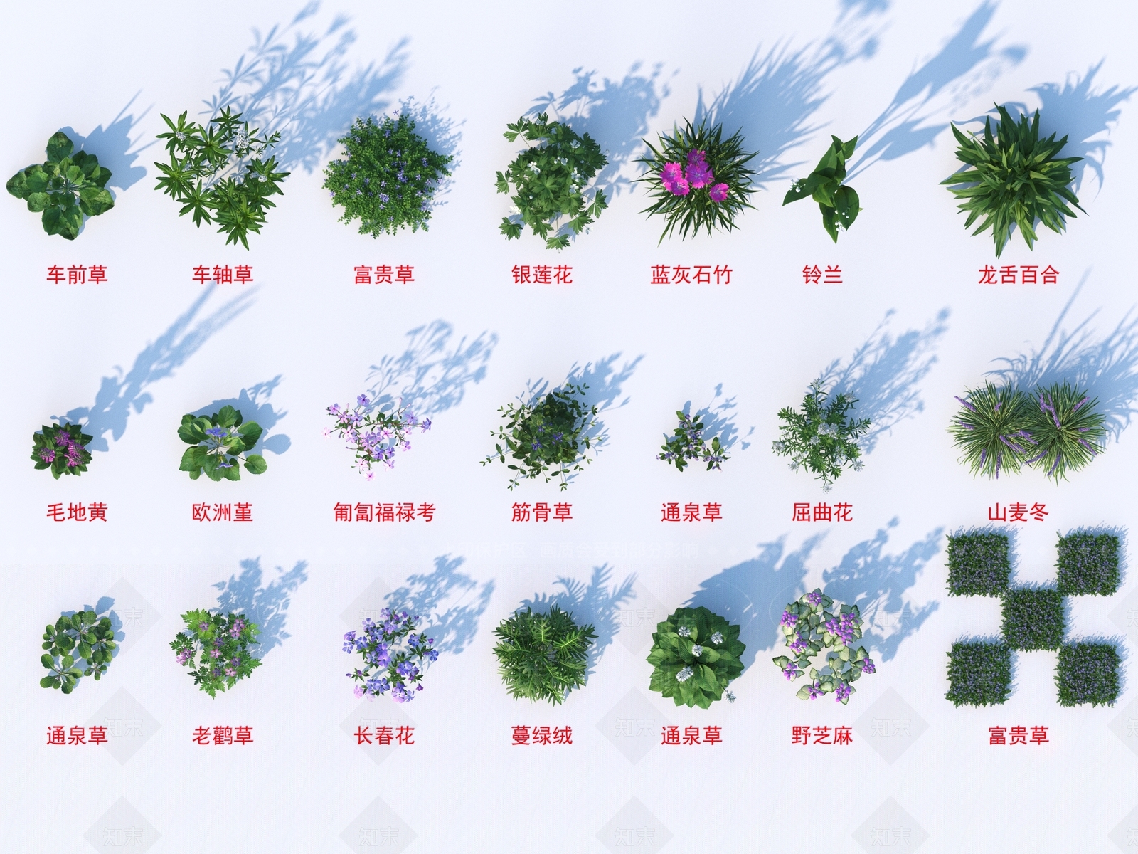 花草组合3D模型下载【ID:1185033232】