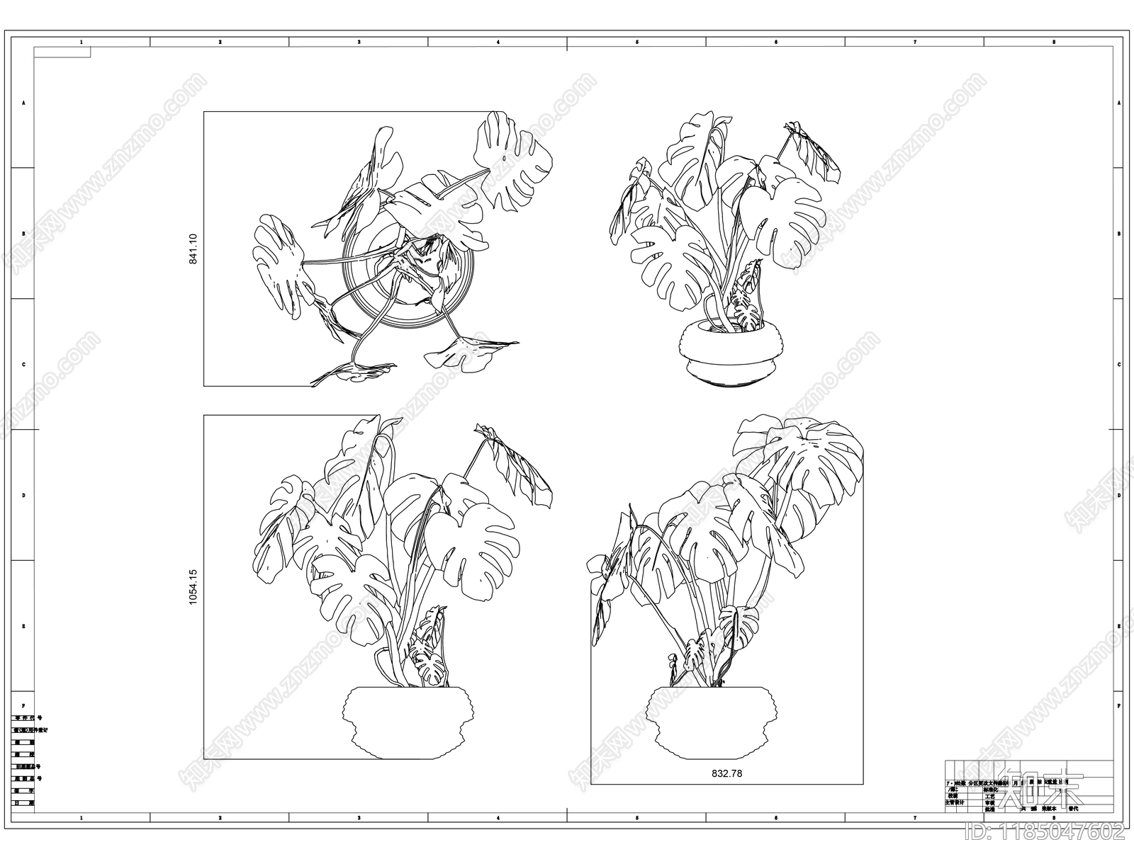 现代树cad施工图下载【ID:1185047602】
