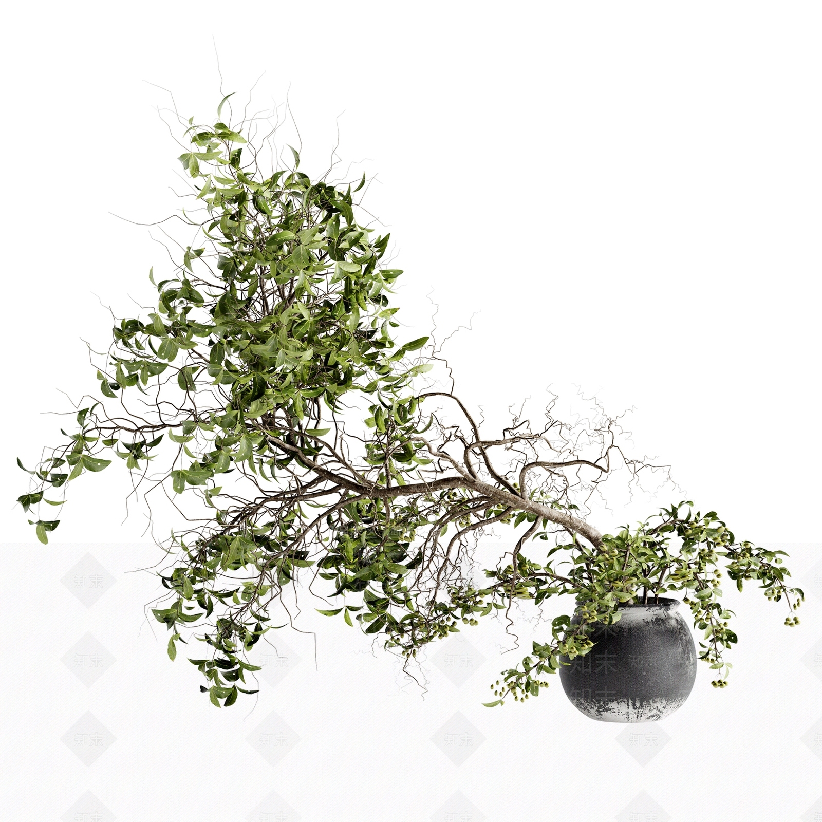 盆栽3D模型下载【ID:1185114391】