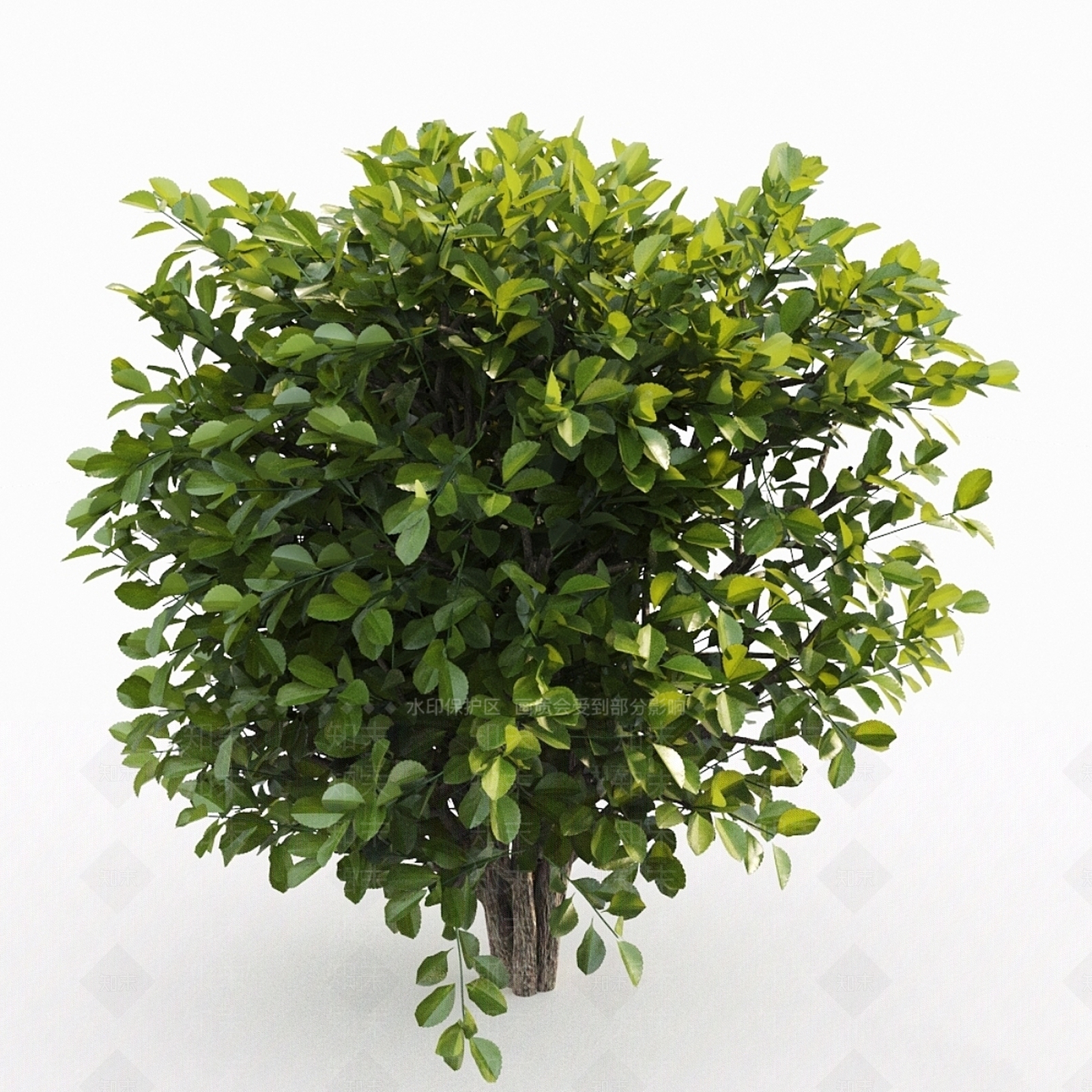 灌木3D模型下载【ID:1185118535】