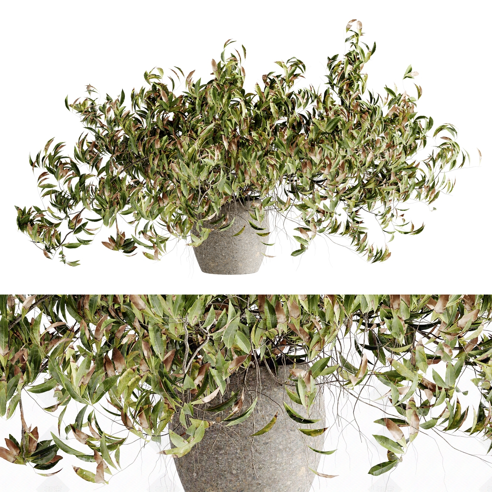 盆栽3D模型下载【ID:1185131958】