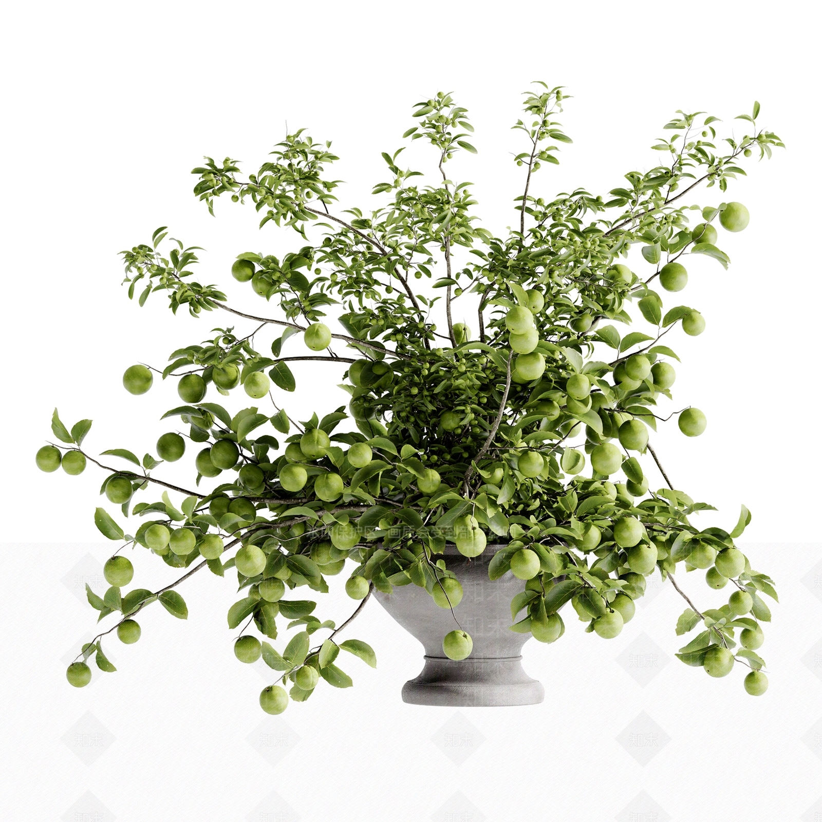 现代花艺3D模型下载【ID:1185132066】