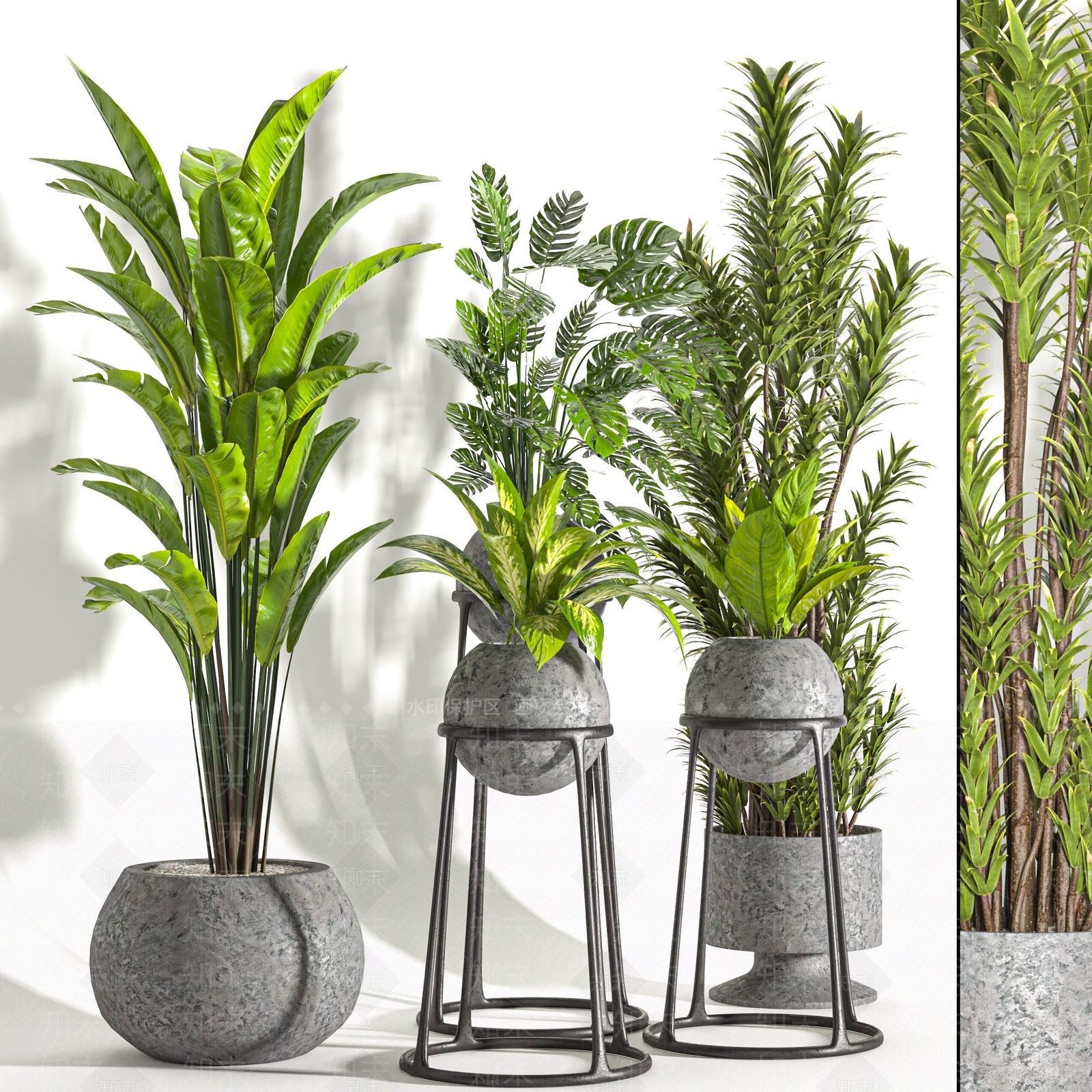 现代盆景植物3D模型下载【ID:1185140902】