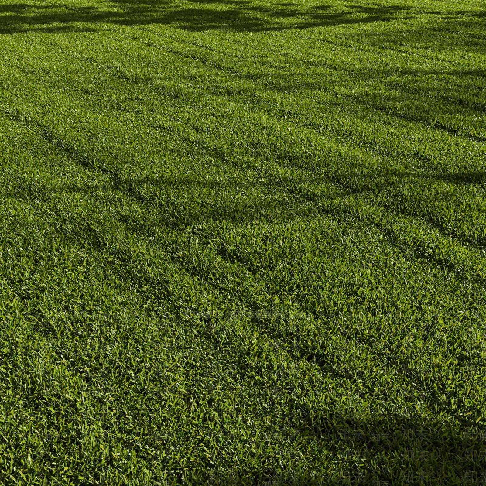 现代草地3D模型下载【ID:1185206226】