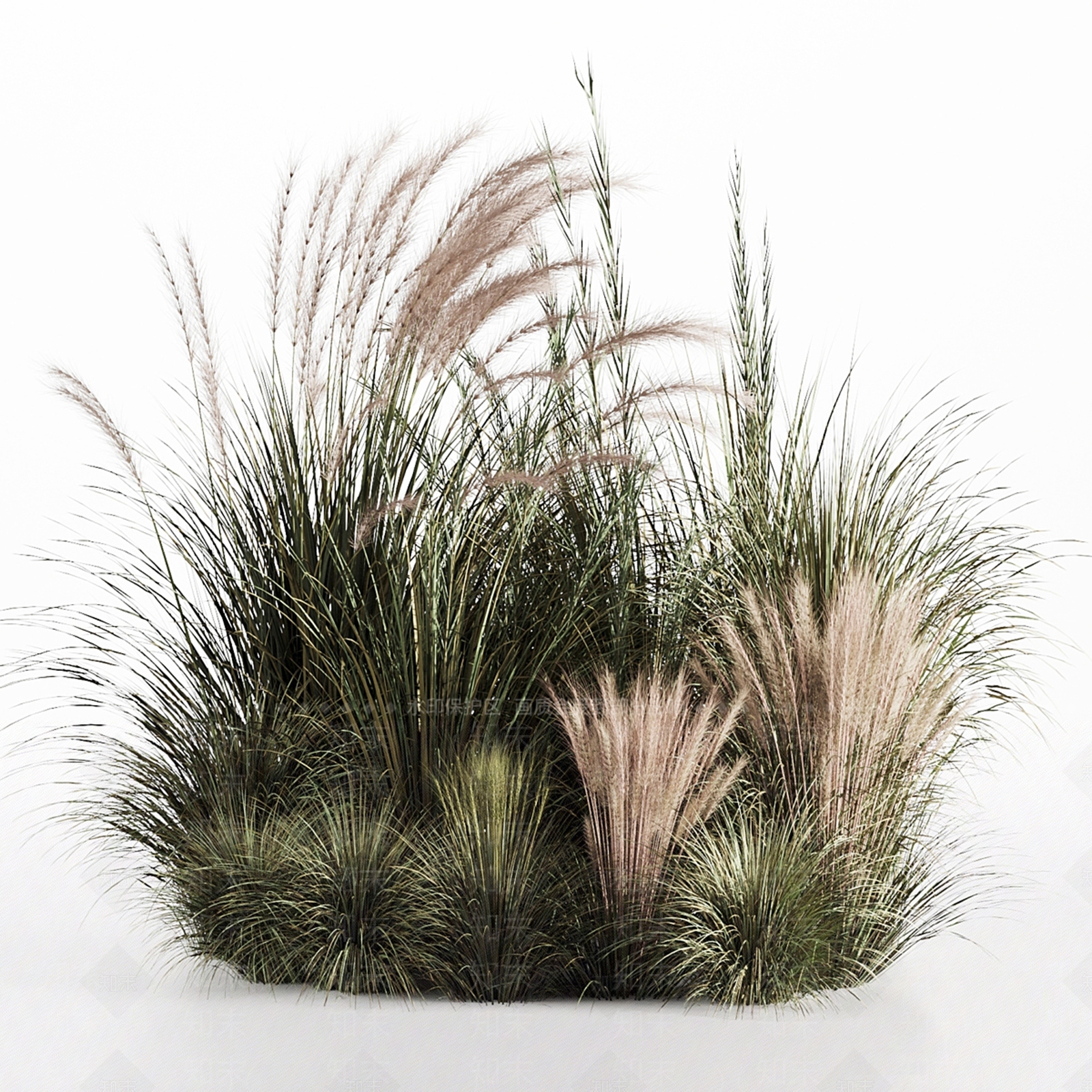 花草组合3D模型下载【ID:1185243014】