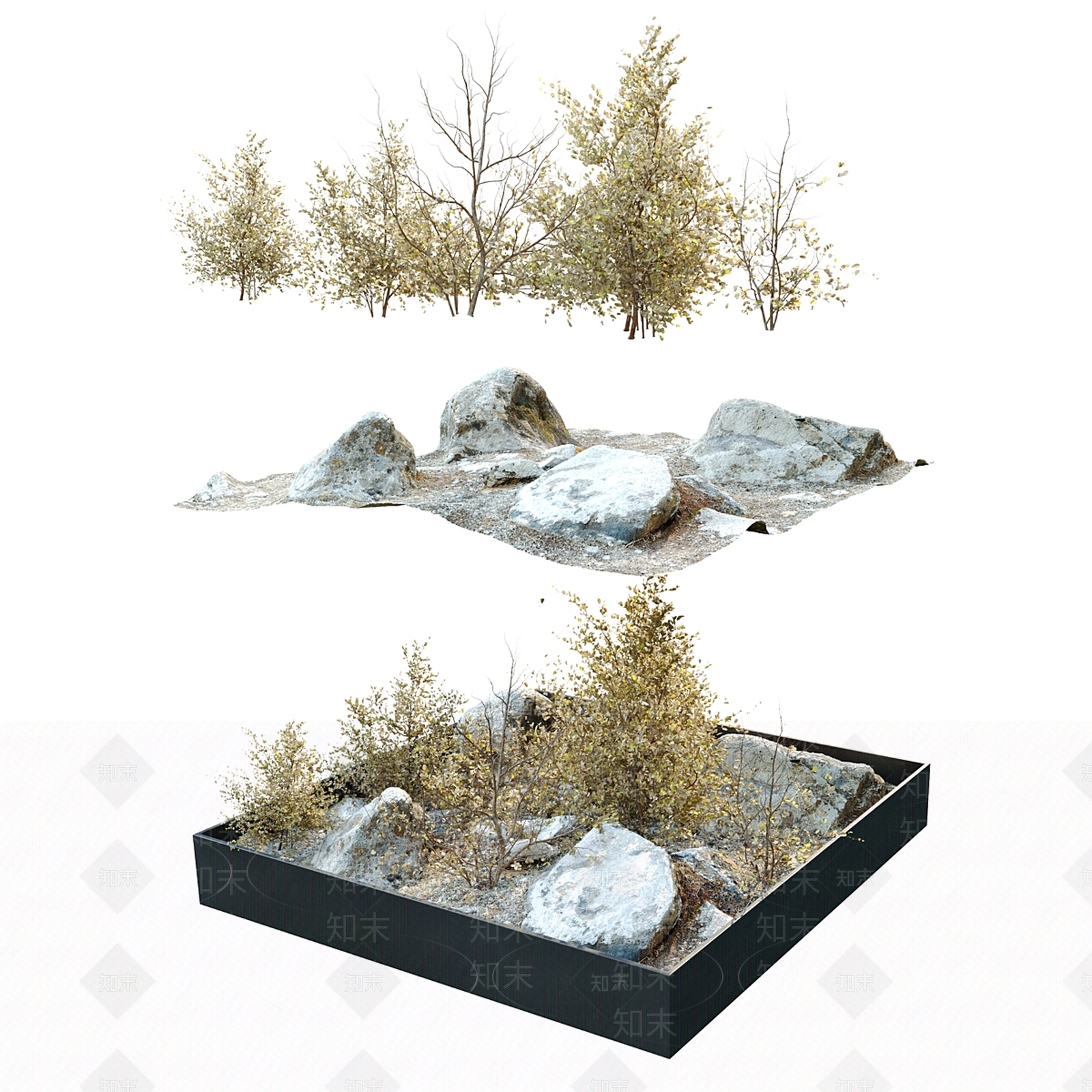 其他绿植3D模型下载【ID:1185252064】
