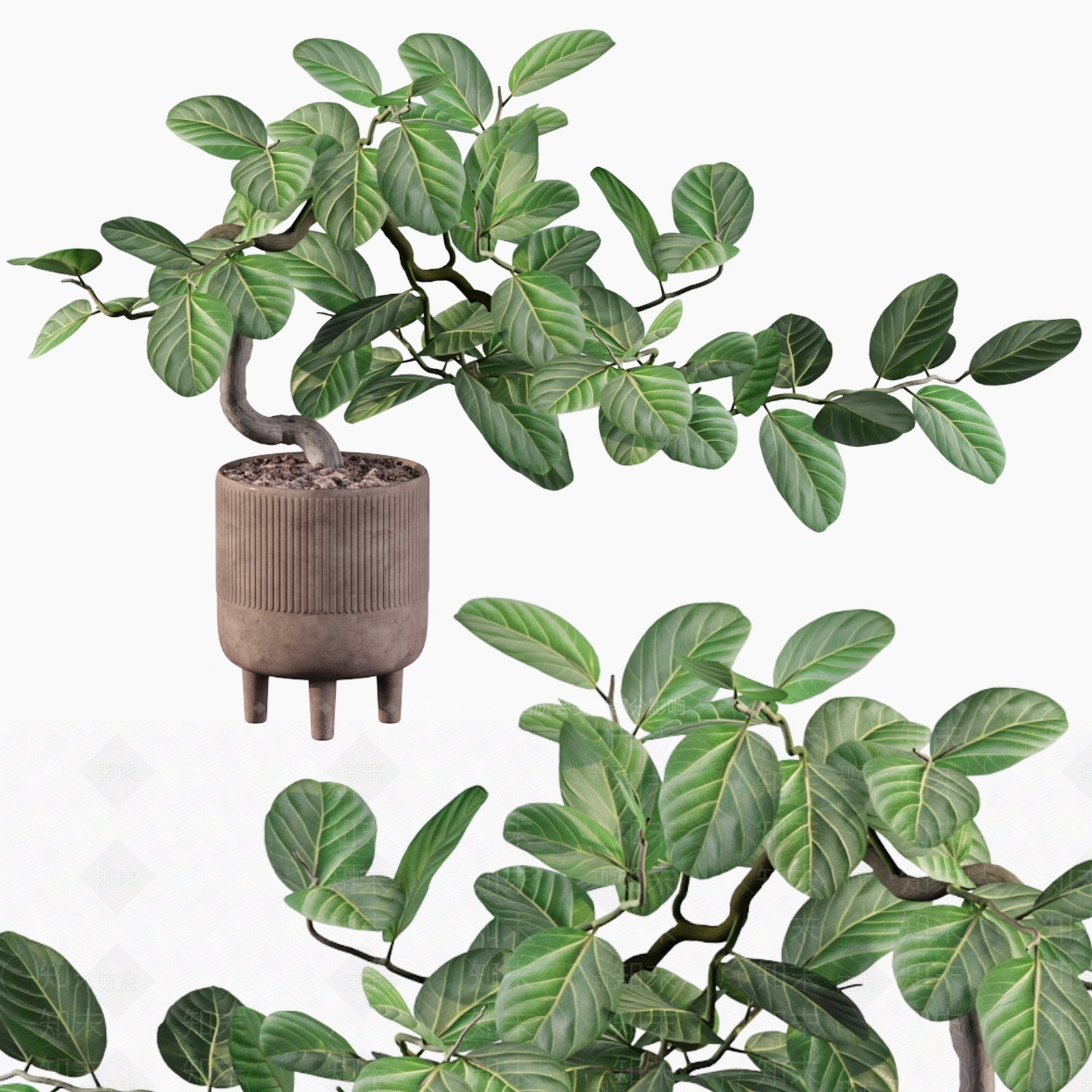 盆景3D模型下载【ID:1185276444】