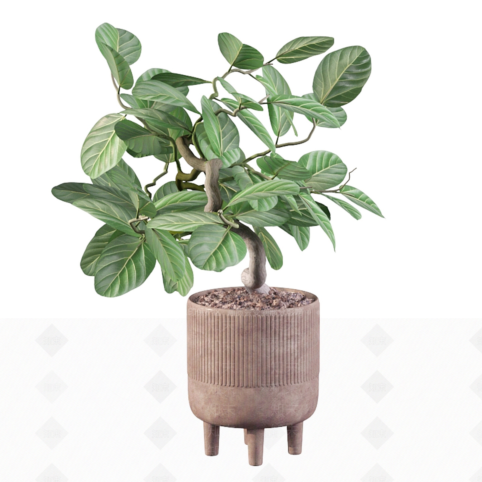 盆景3D模型下载【ID:1185276444】