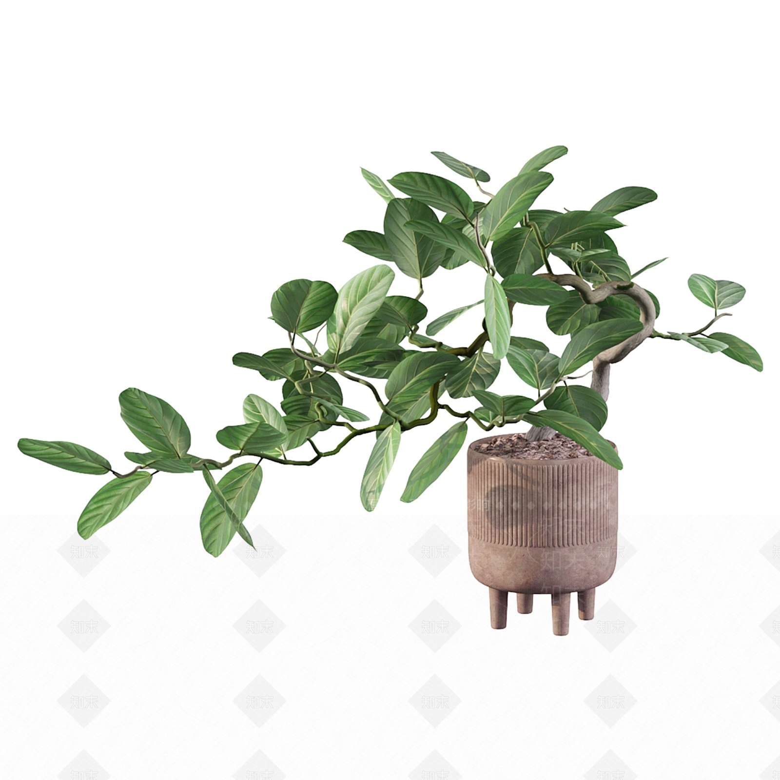 盆景3D模型下载【ID:1185276444】