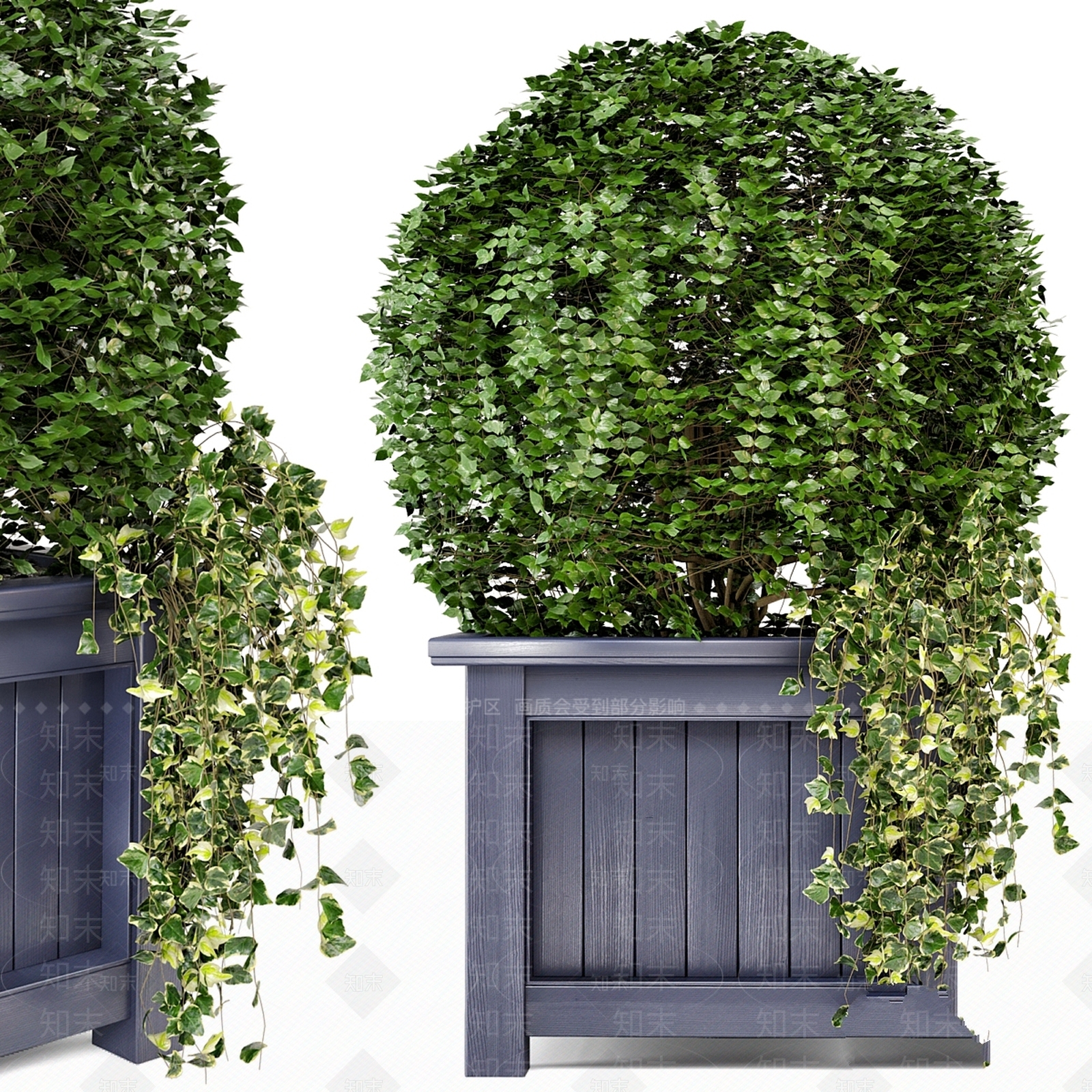 其他绿植3D模型下载【ID:1185297108】