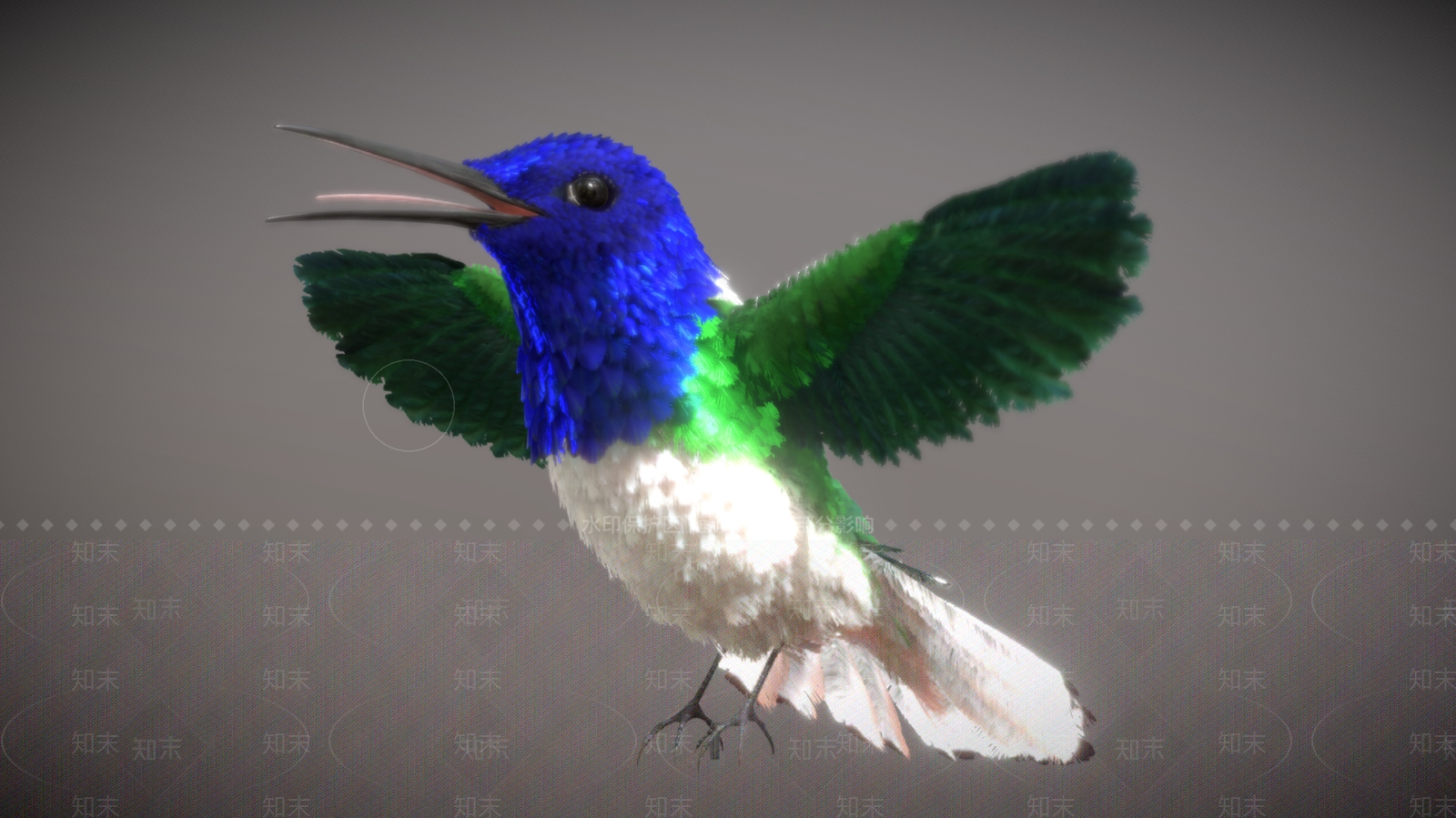 飞行类动物3D模型下载【ID:1185302913】