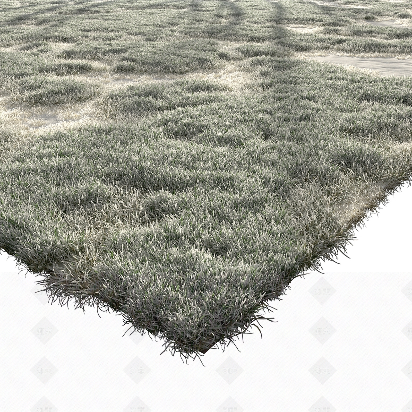 草3D模型下载【ID:1185317014】