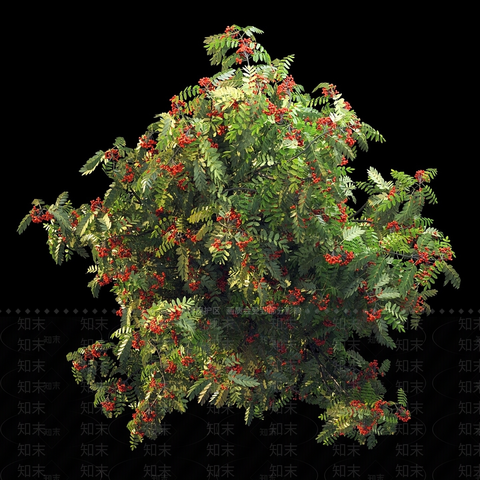 其他树木3D模型下载【ID:1185317504】