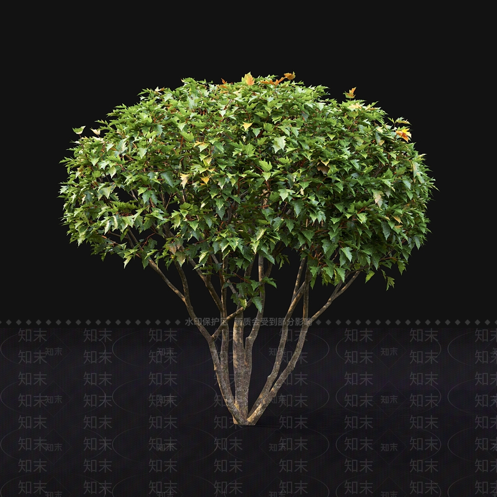 其他树木3D模型下载【ID:1185318722】