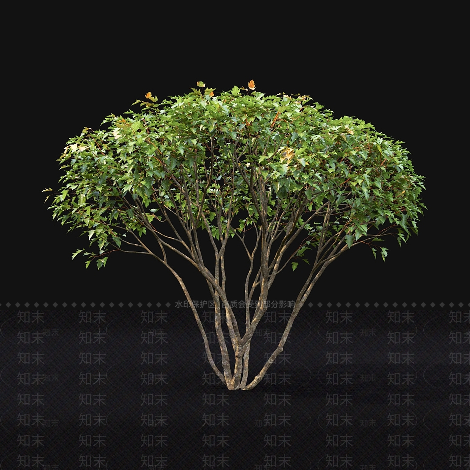 其他树木3D模型下载【ID:1185318722】