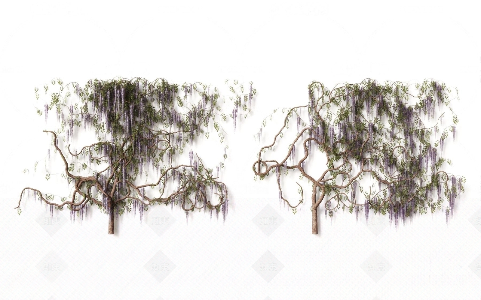 现代藤蔓植物3D模型下载【ID:1185345085】