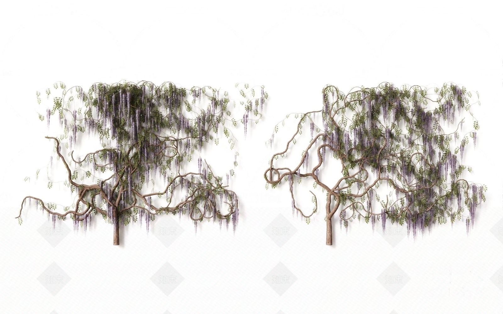 现代藤蔓植物3D模型下载【ID:1185345085】